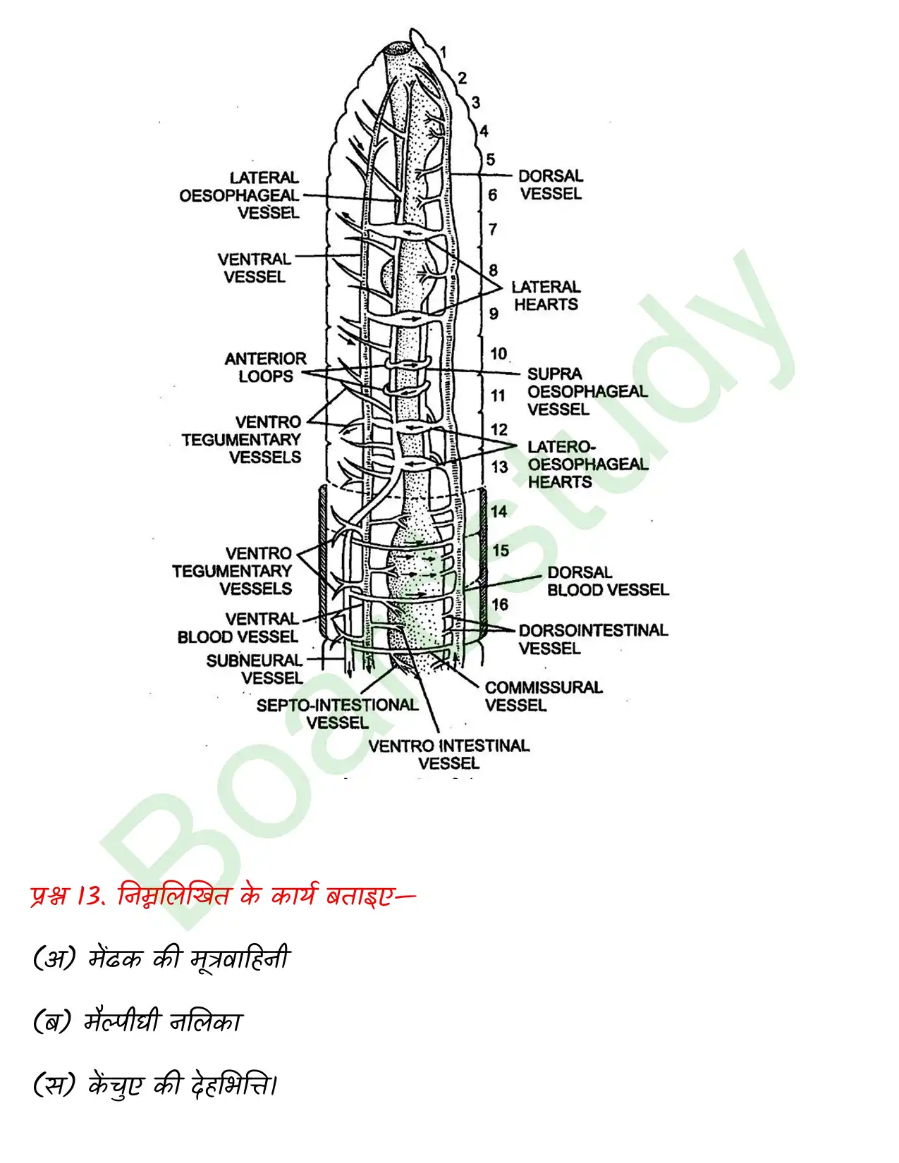 Biology Chapter 7. page 0022