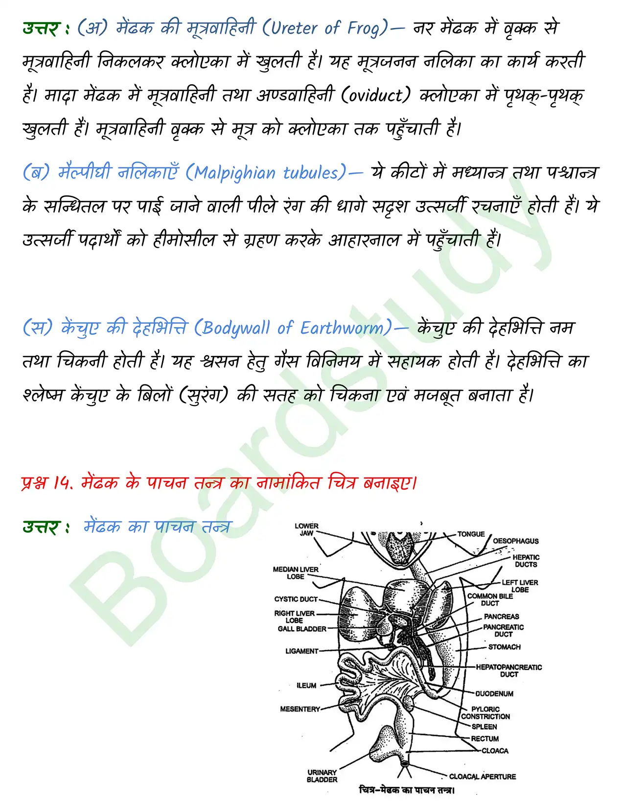 Biology Chapter 7. page 0023