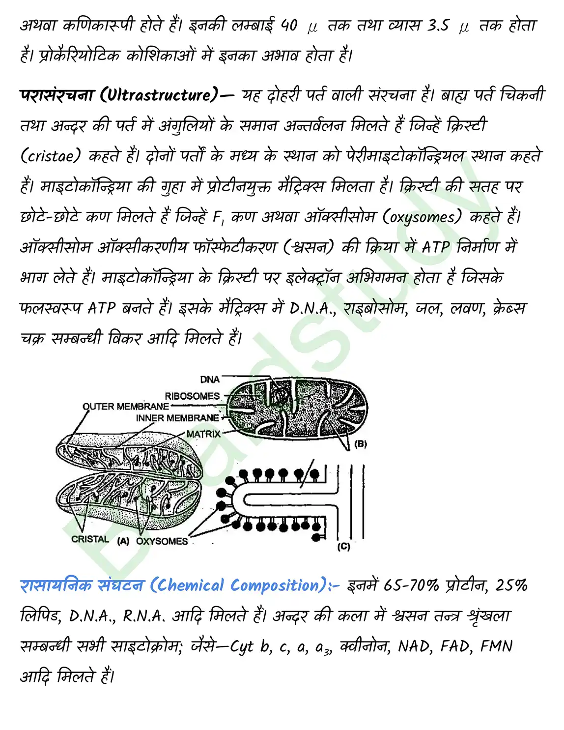Biology Chapter 8 page 0004