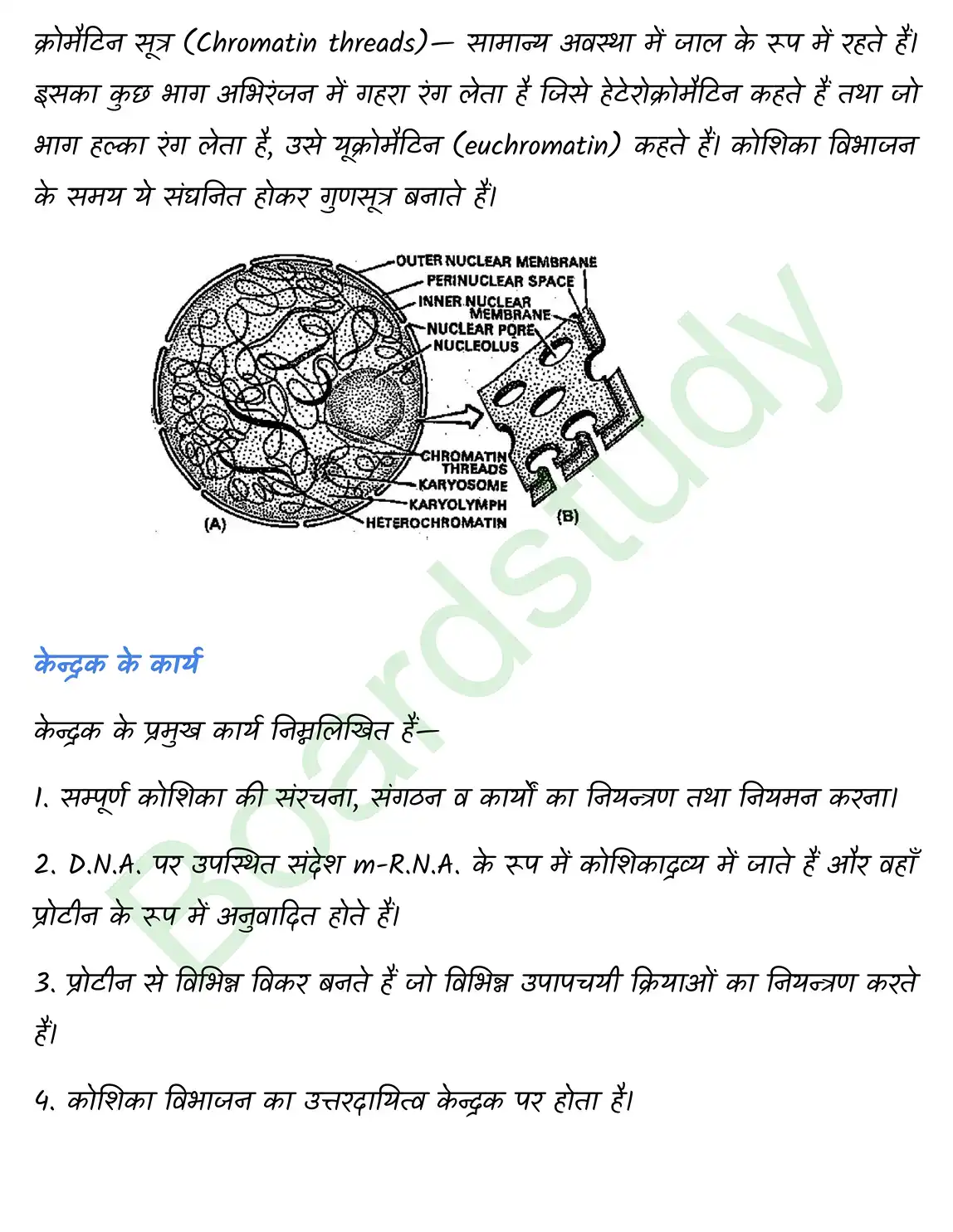Biology Chapter 8 page 0012