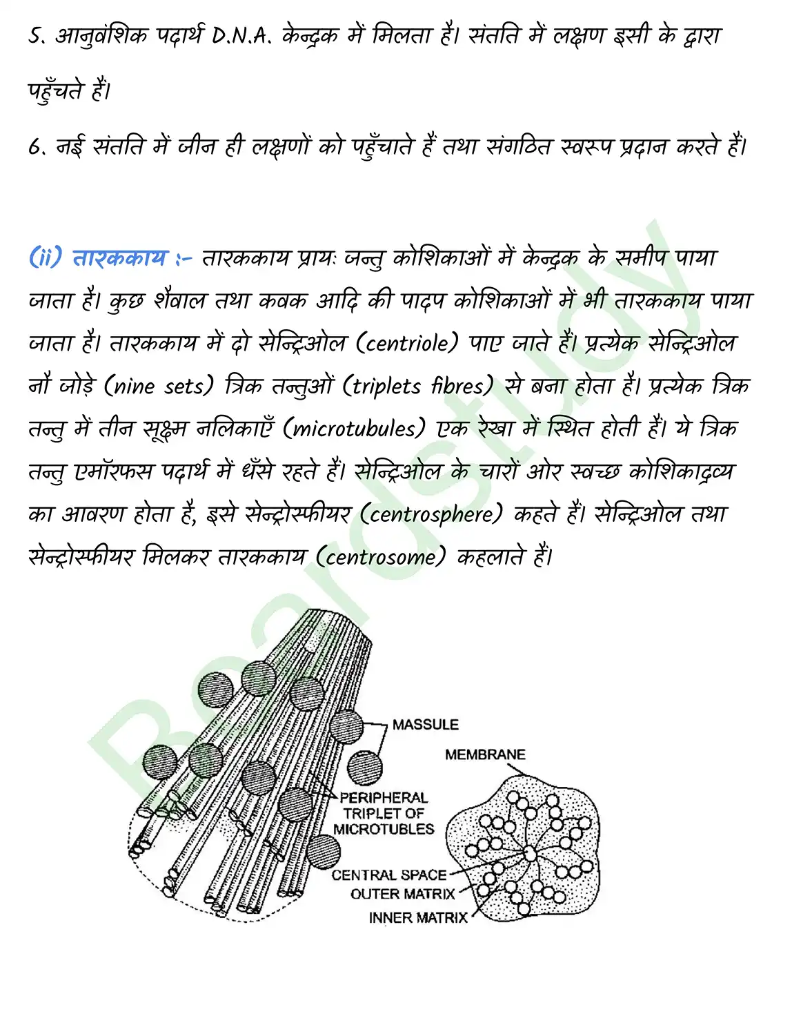 Biology Chapter 8 page 0013