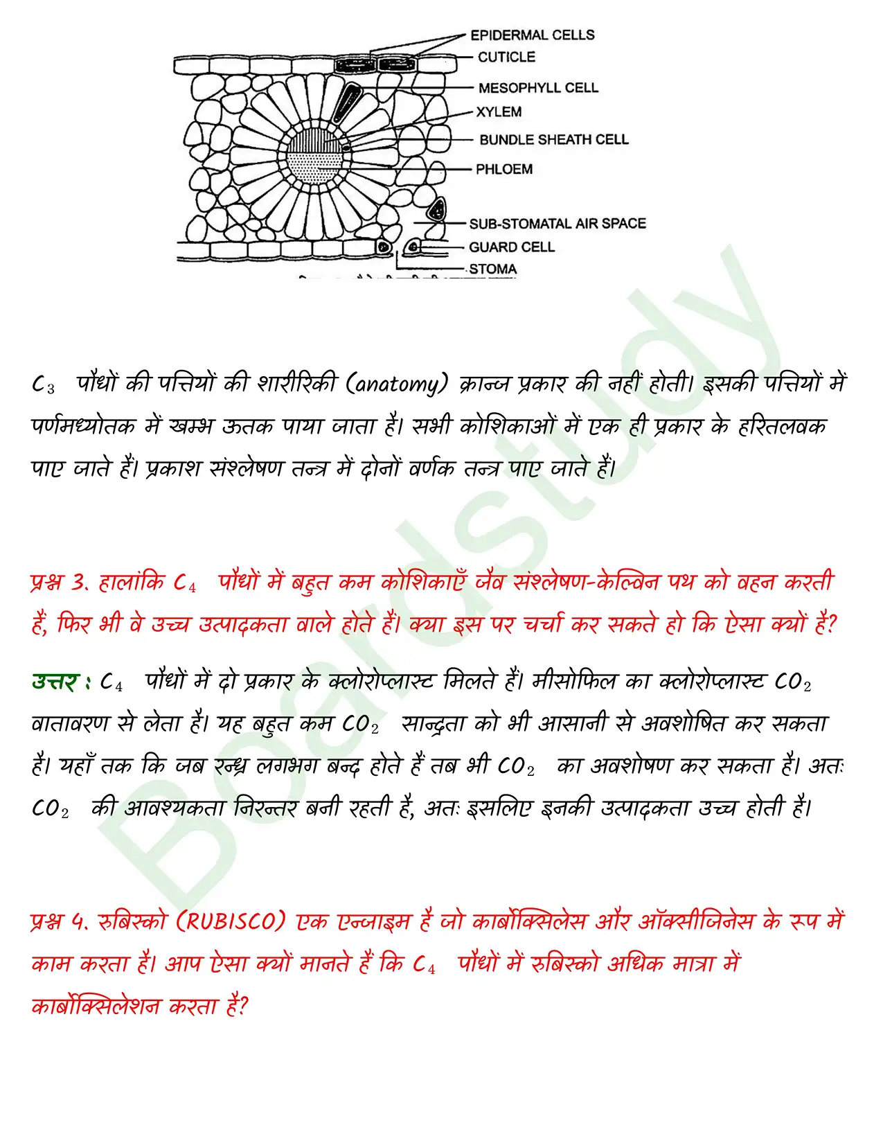 Biology Class11 Chapter 11. page 0002
