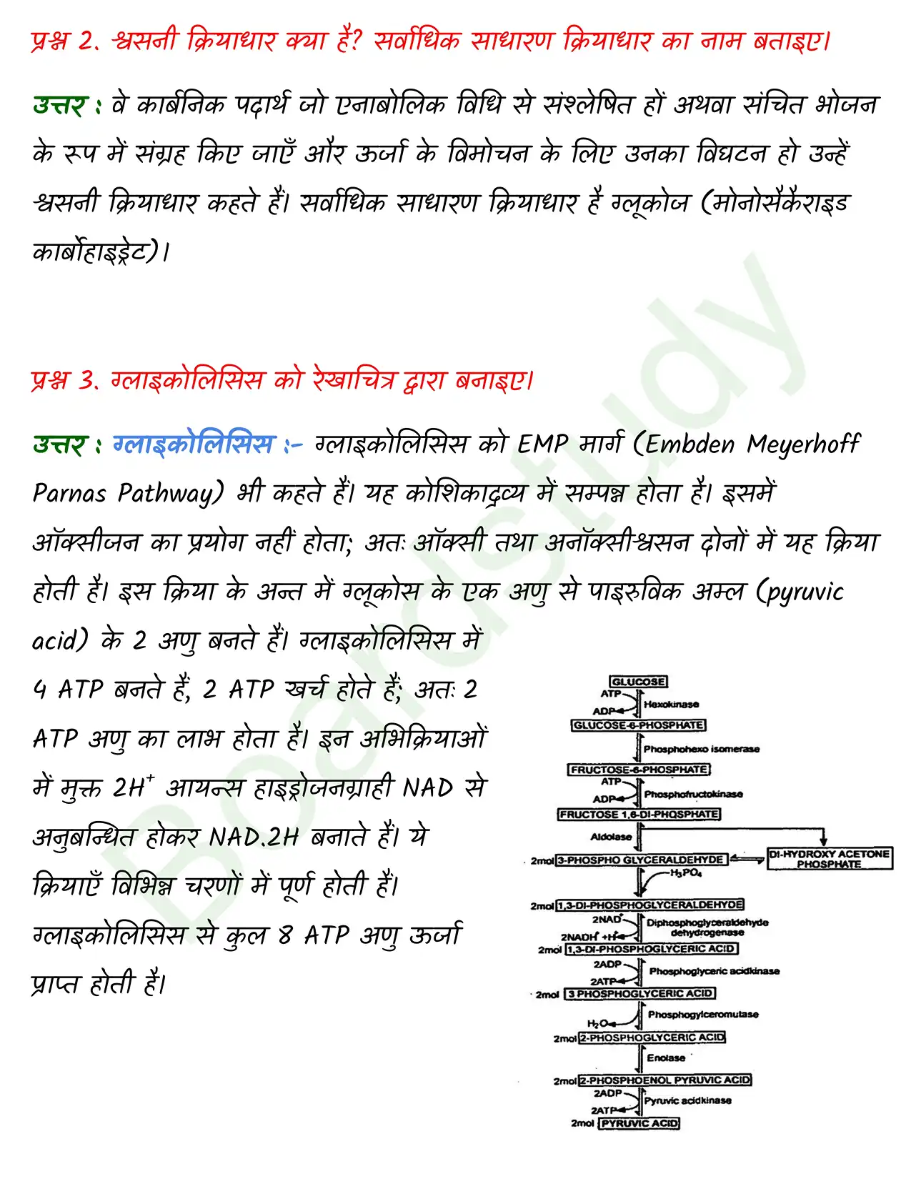 Biology Class11 Chapter 14. page 0005