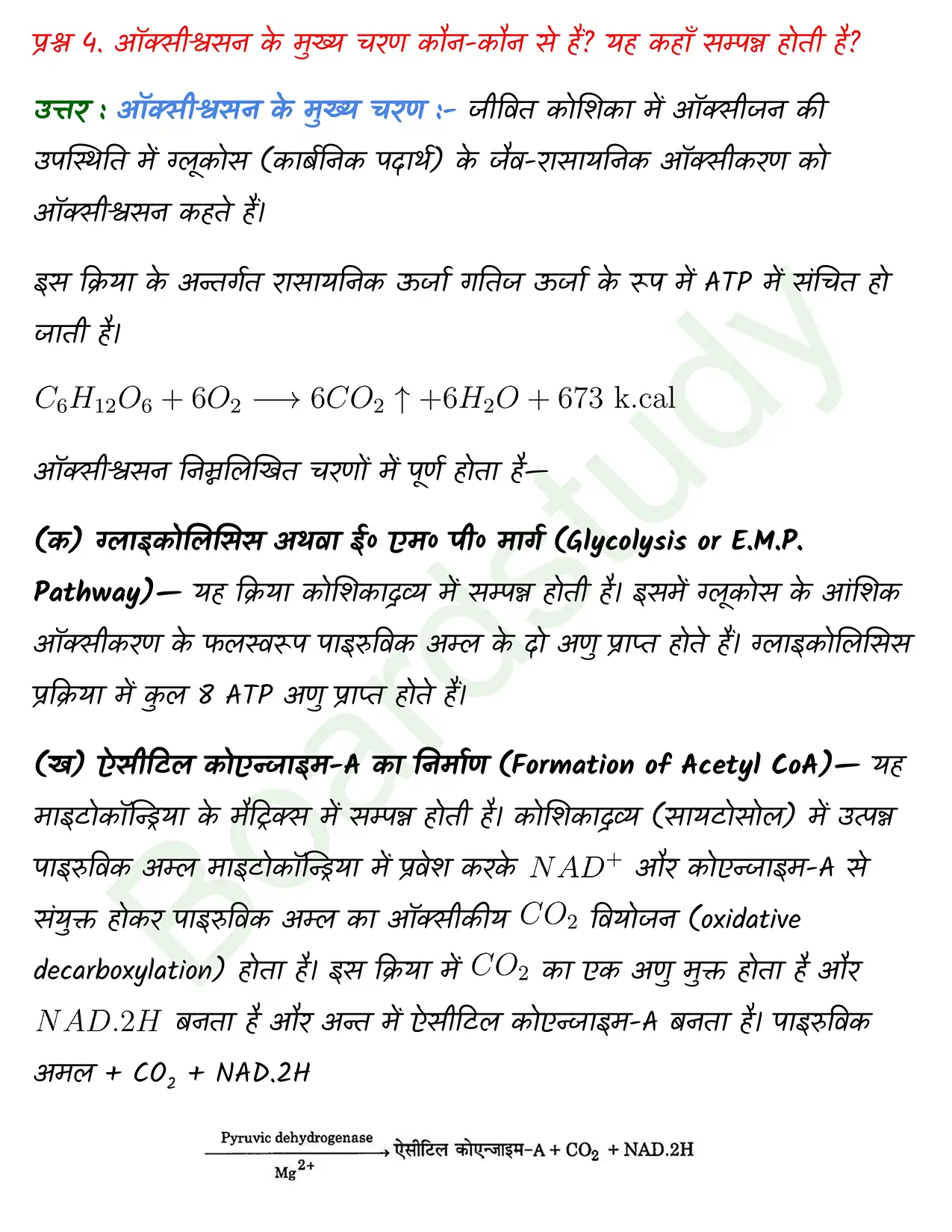 Biology Class11 Chapter 14. page 0006