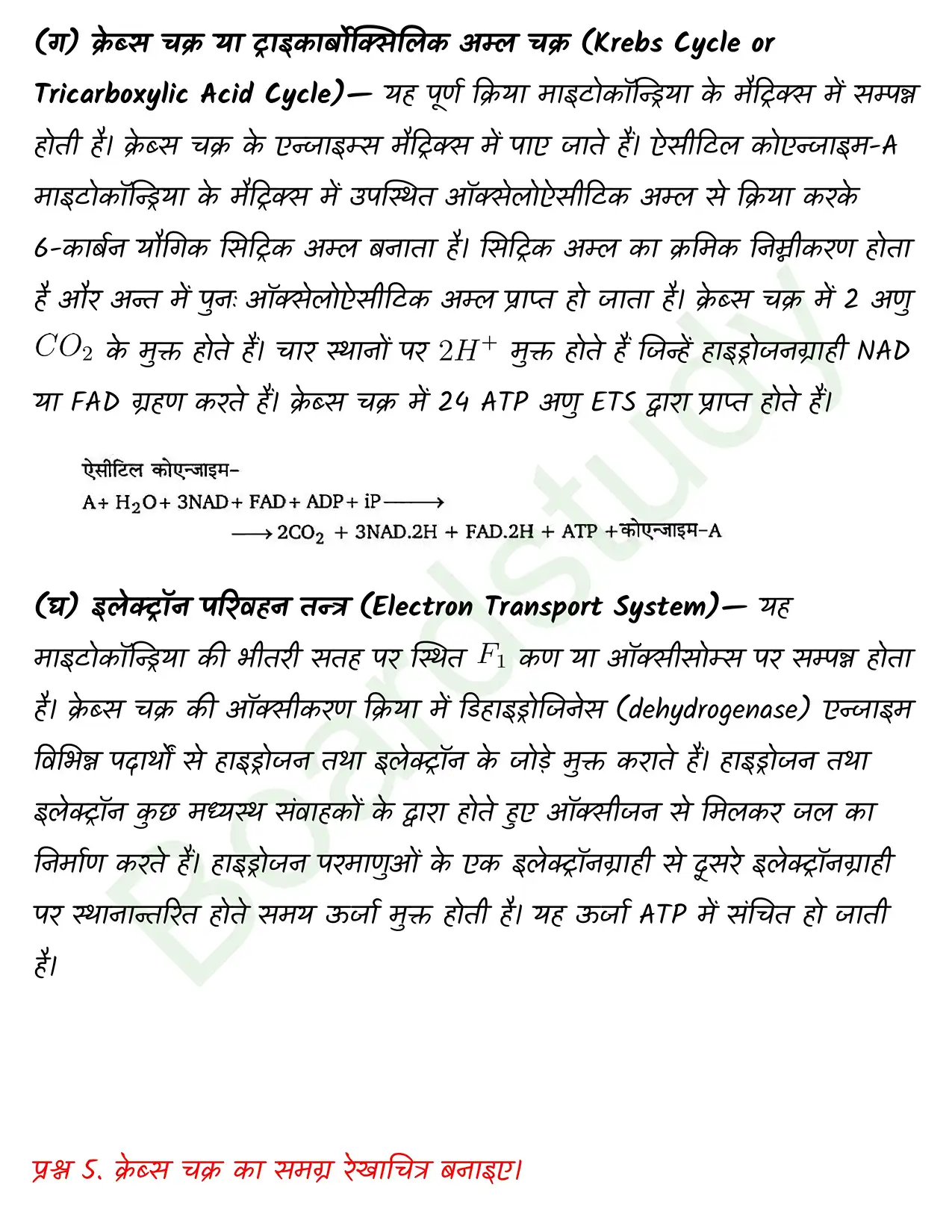 Biology Class11 Chapter 14. page 0007