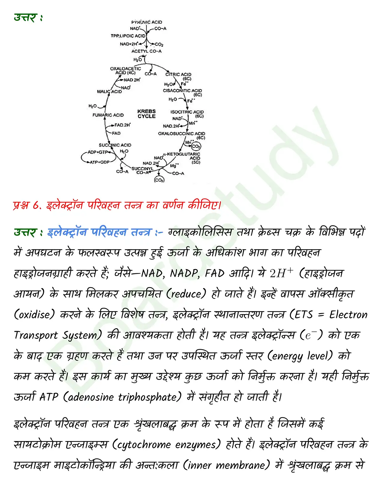 Biology Class11 Chapter 14. page 0008