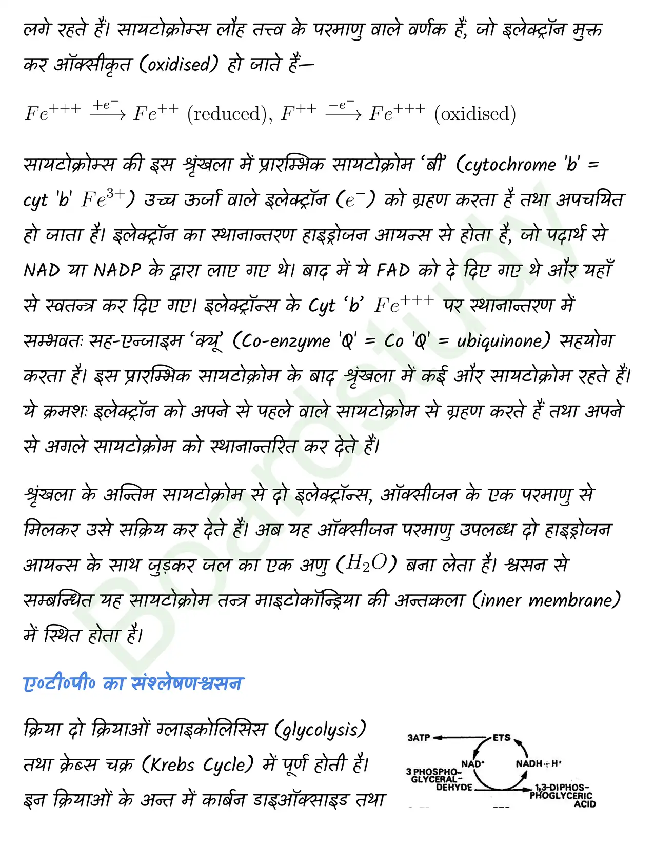 Biology Class11 Chapter 14. page 0009