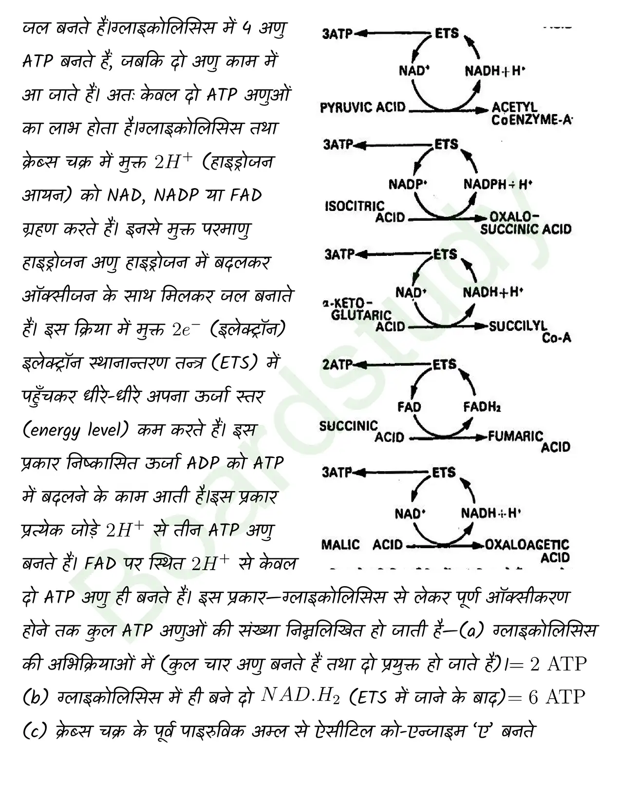 Biology Class11 Chapter 14. page 0010