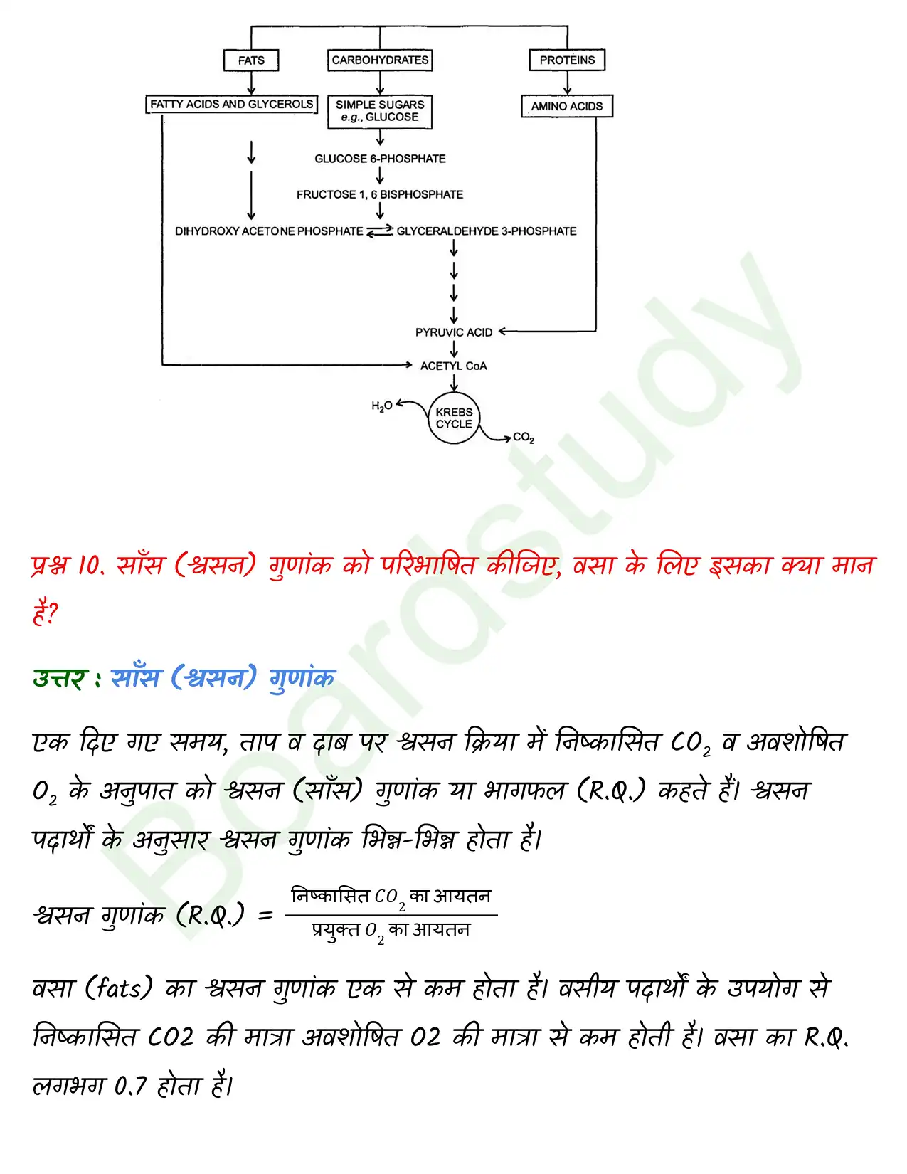 Biology Class11 Chapter 14. page 0017