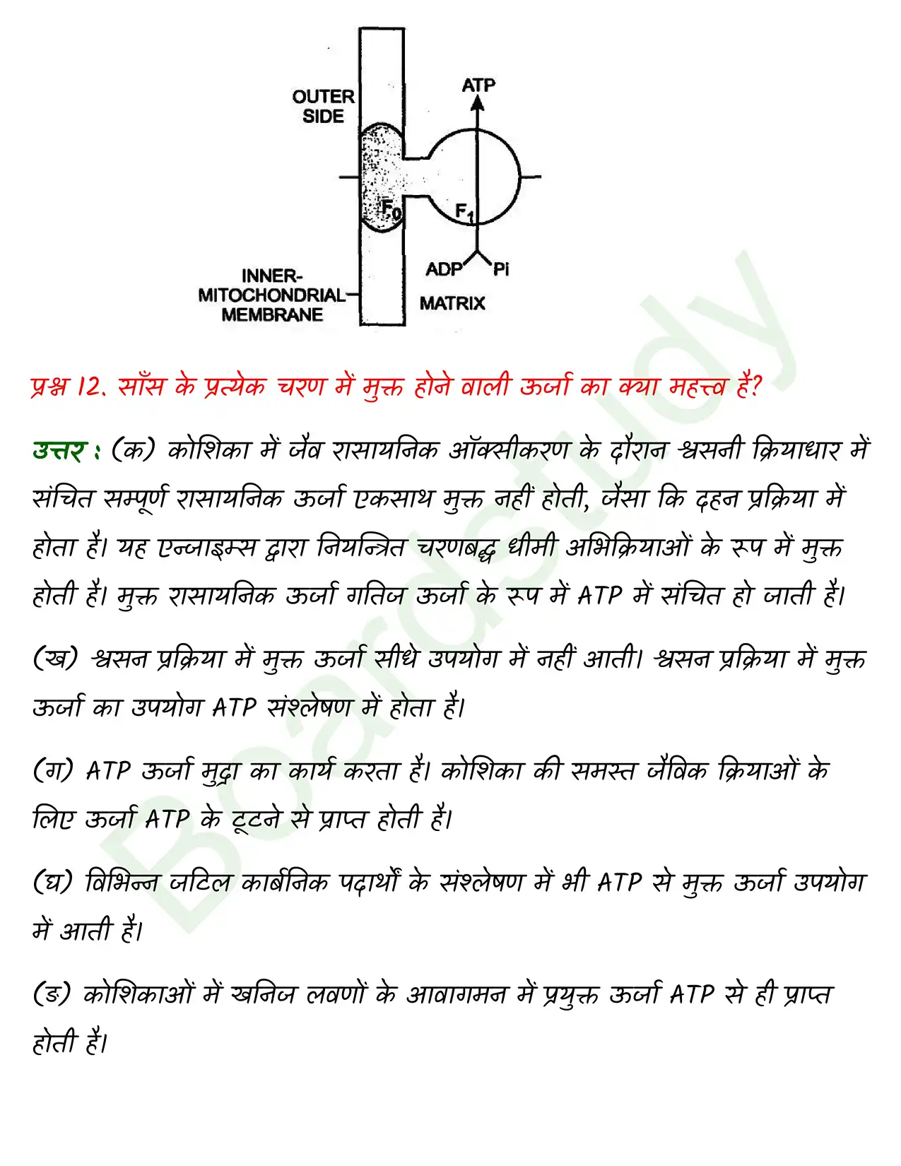 Biology Class11 Chapter 14. page 0019