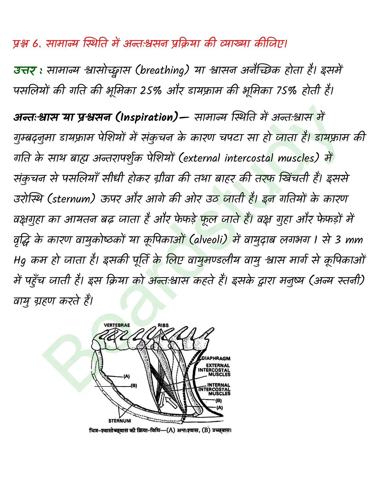 Biology Class11 Chapter 17. page 0007