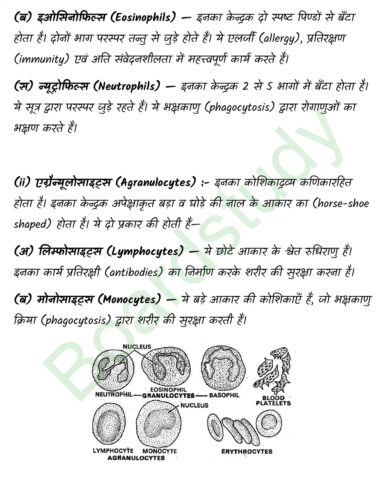 Biology Class11 Chapter 18. page 0004
