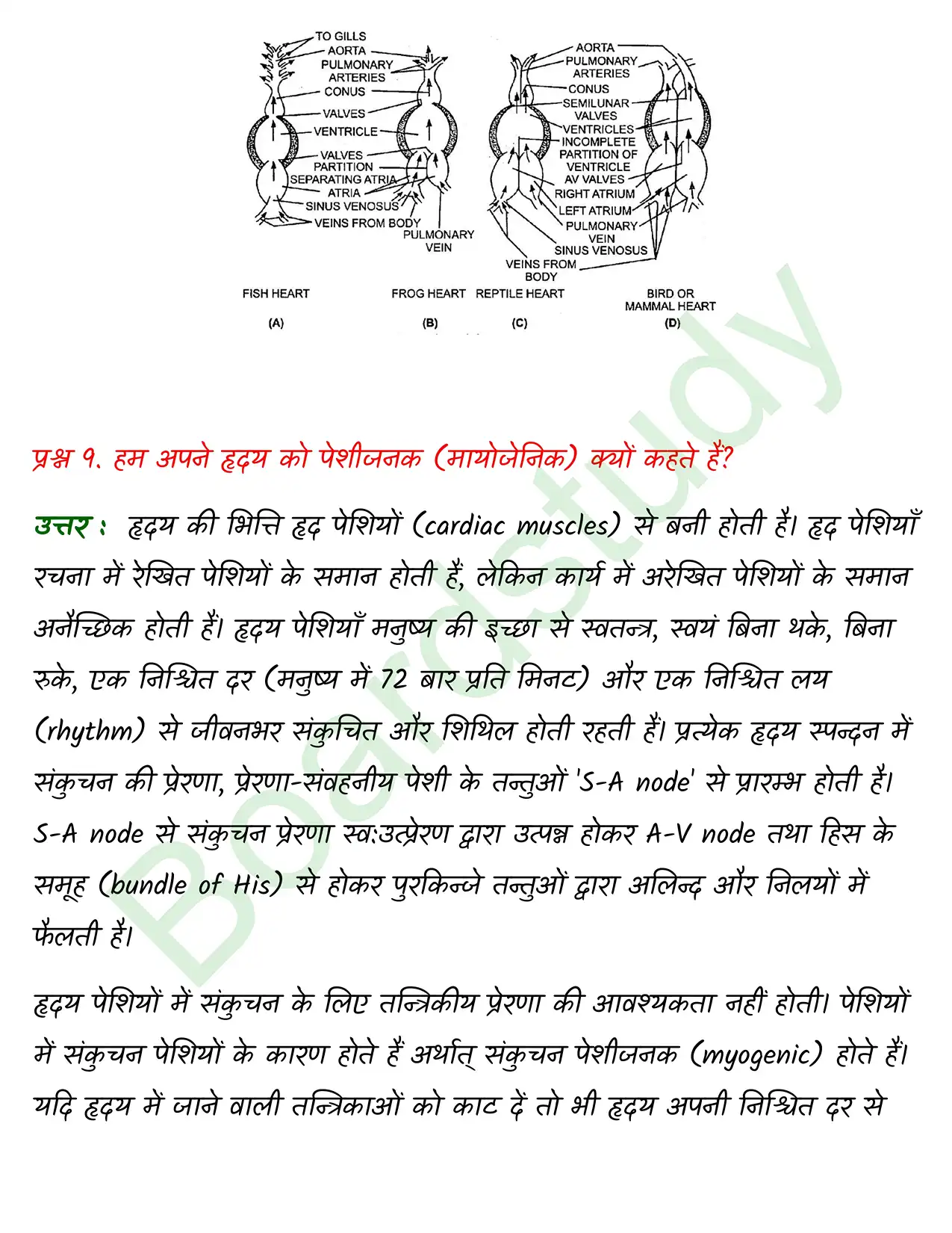 Biology Class11 Chapter 18. page 0012