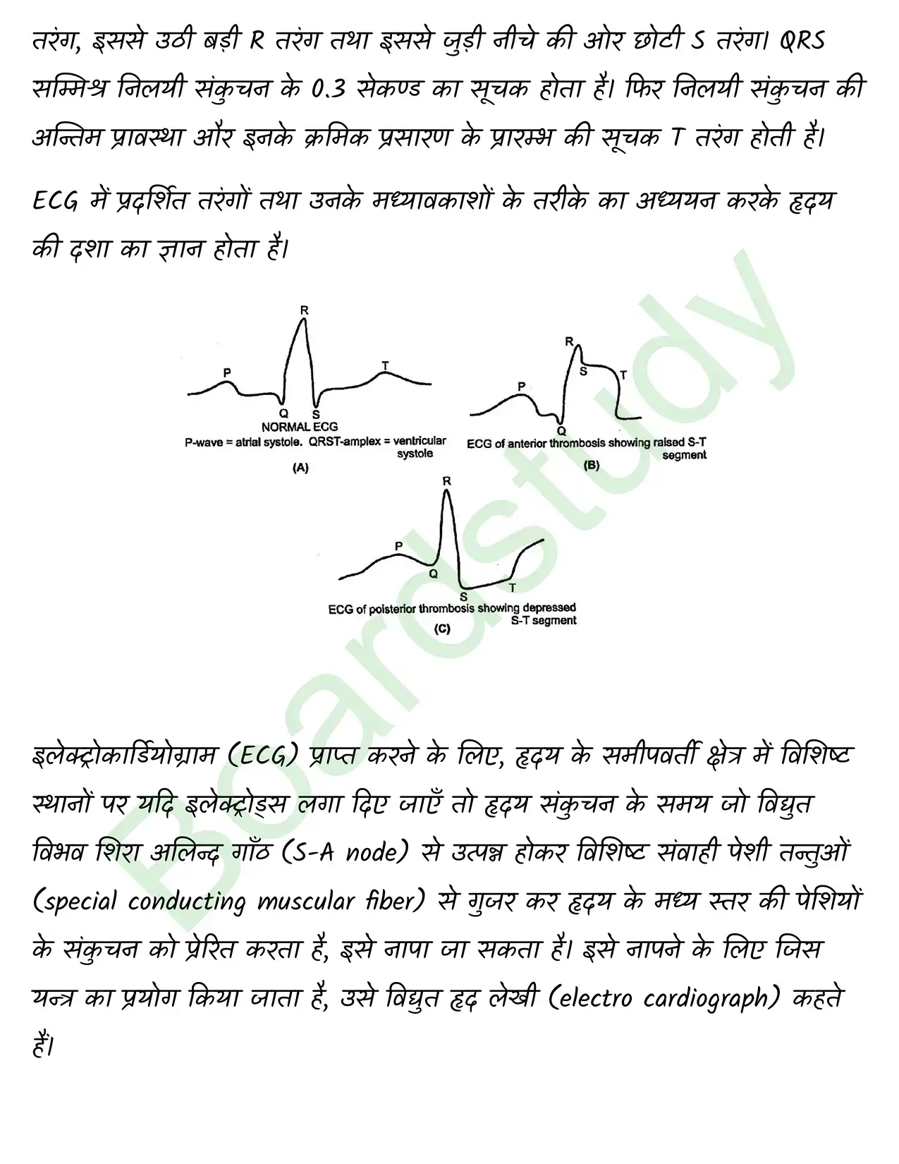 Biology Class11 Chapter 18. page 0016
