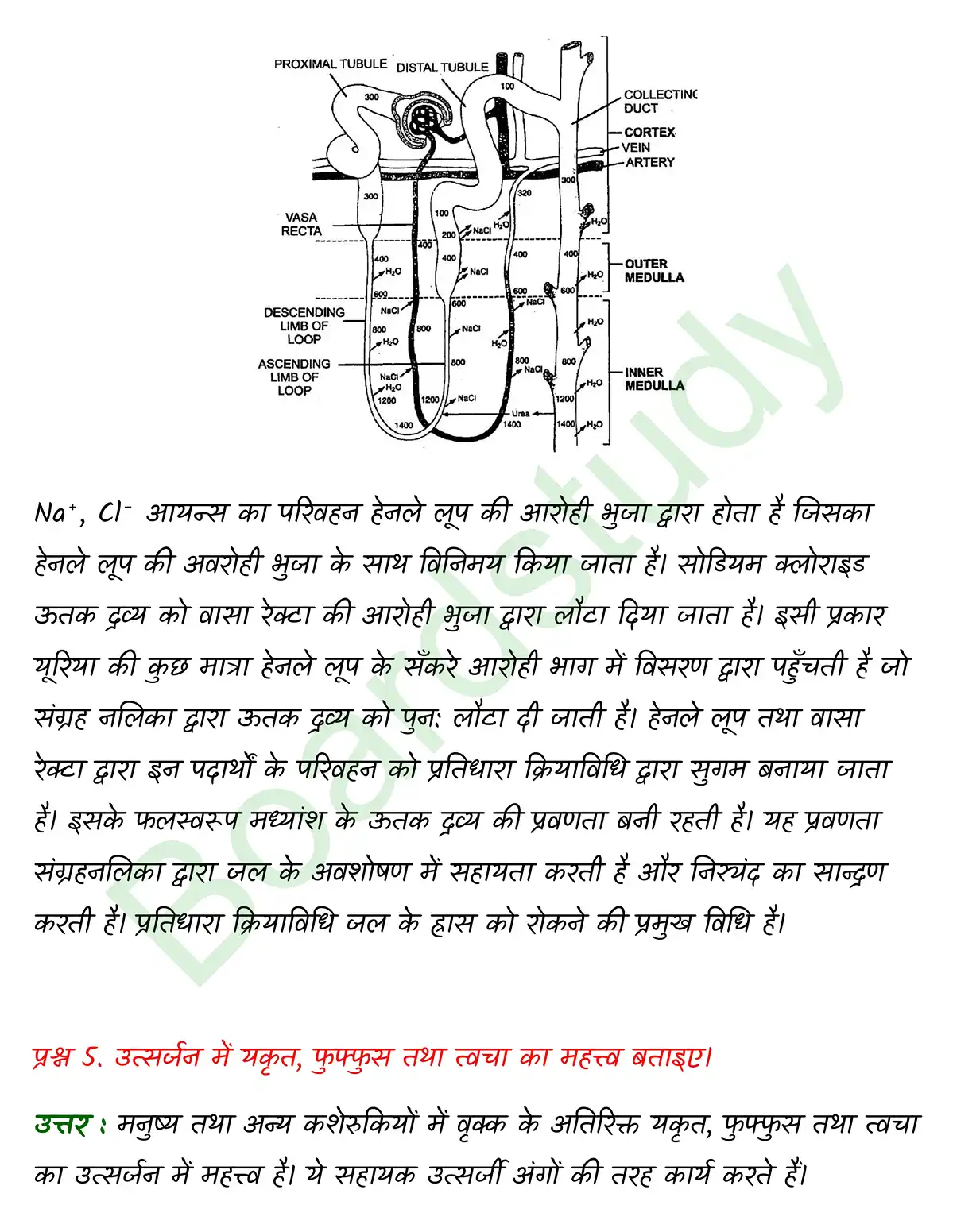 Biology Class11 Chapter 19 page 0003