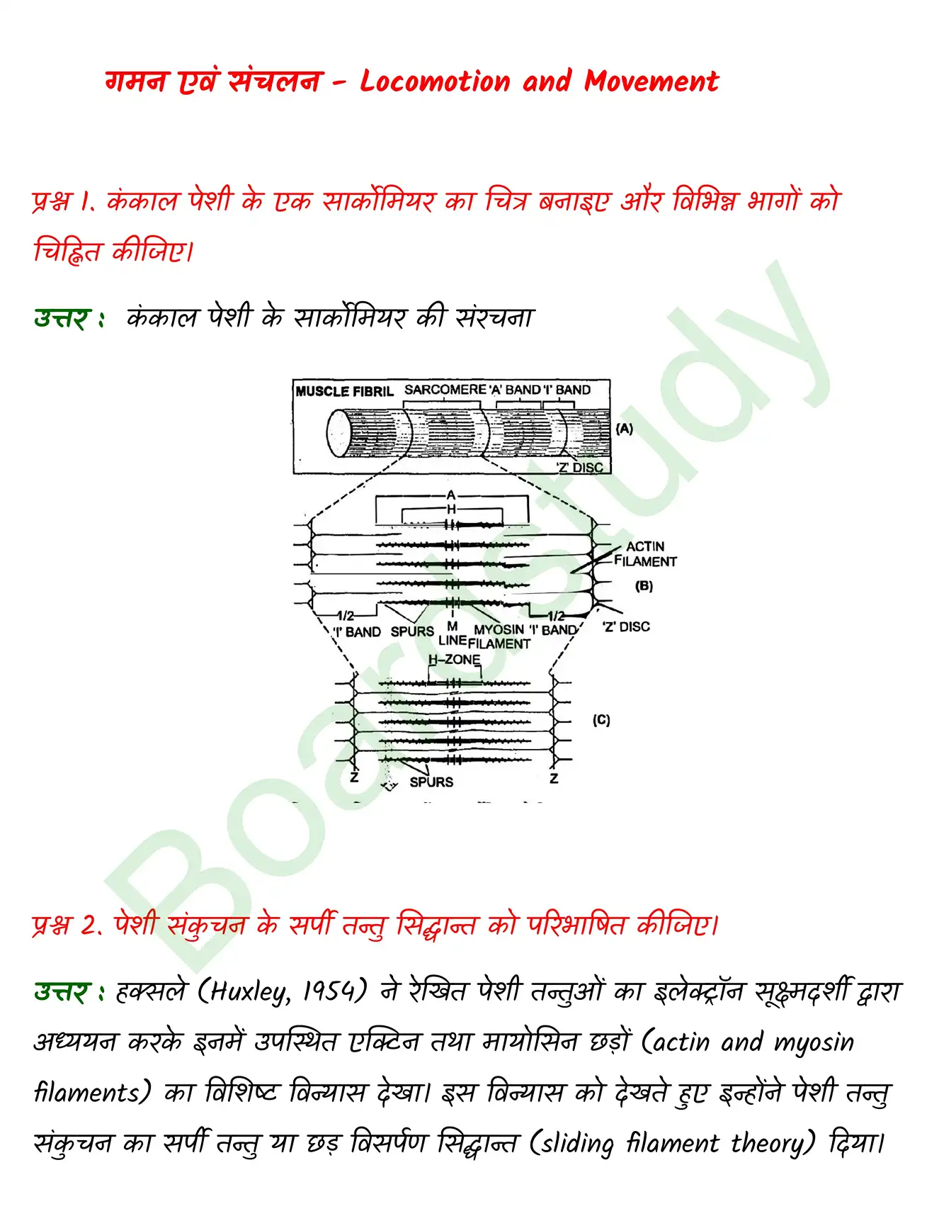 Biology Class11 Chapter 20 page 0001