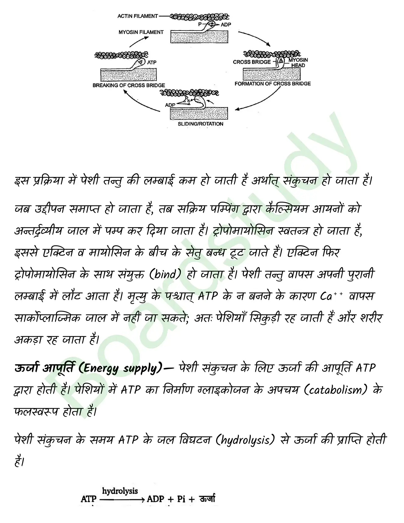 Biology Class11 Chapter 20 page 0003