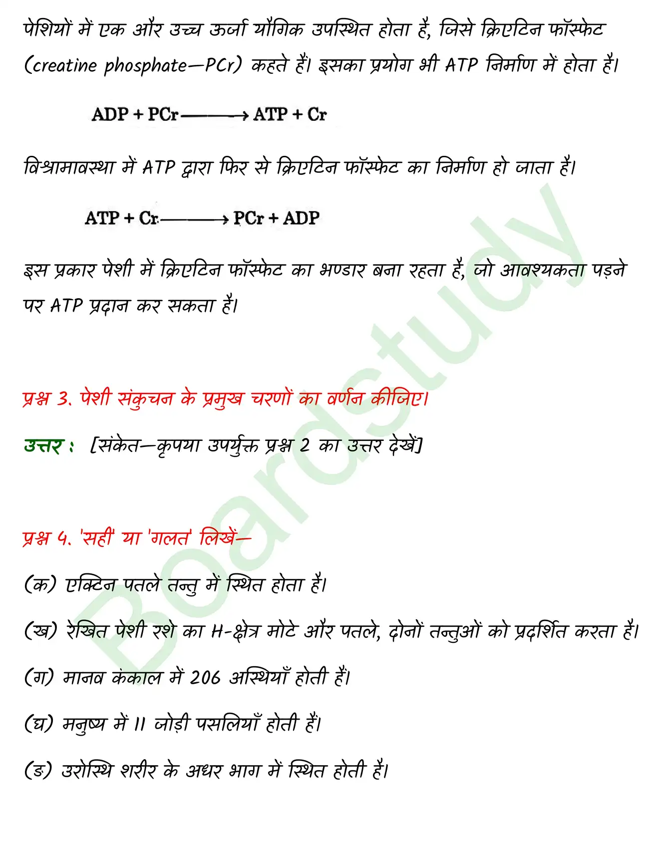 Biology Class11 Chapter 20 page 0004