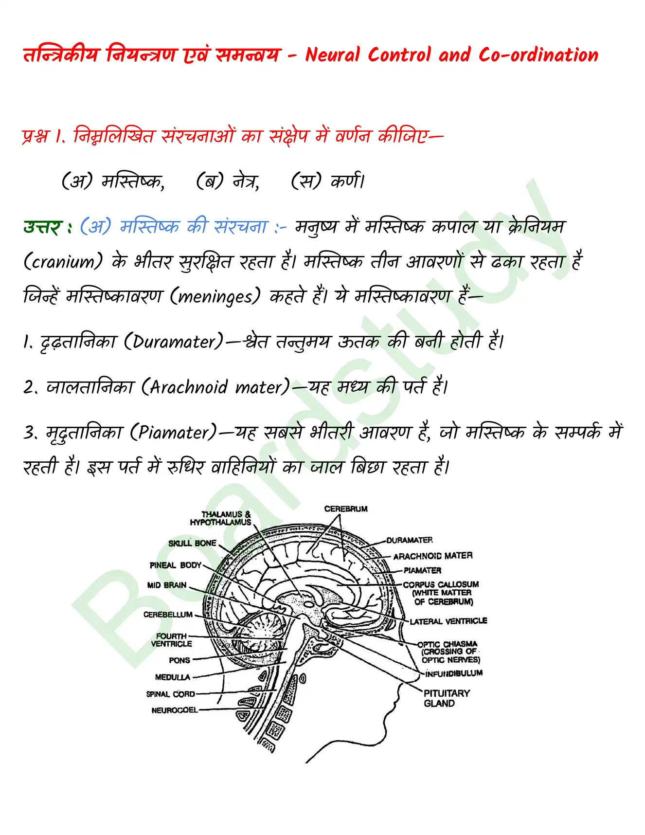 Biology Class11 Chapter 21. page 0001