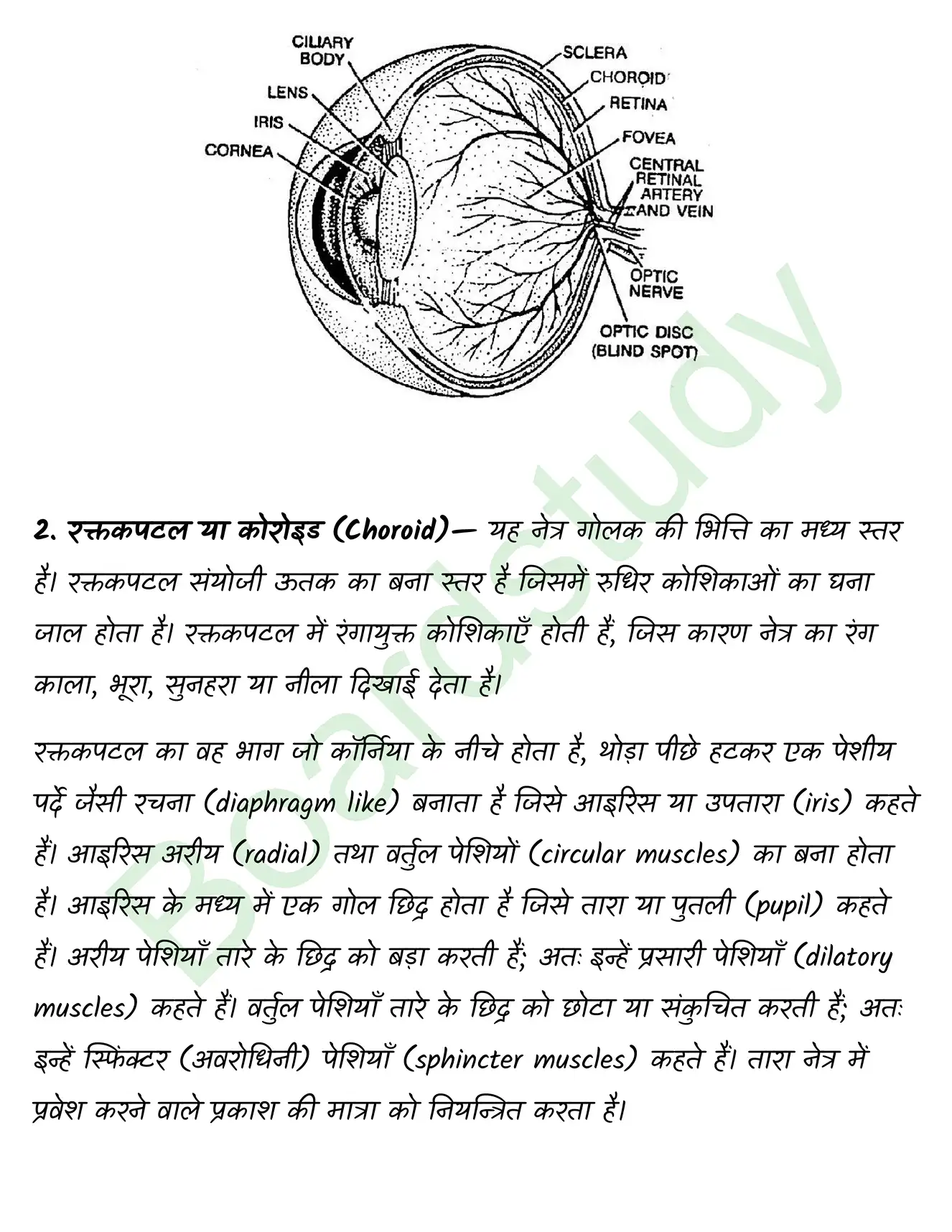 Biology Class11 Chapter 21. page 0006