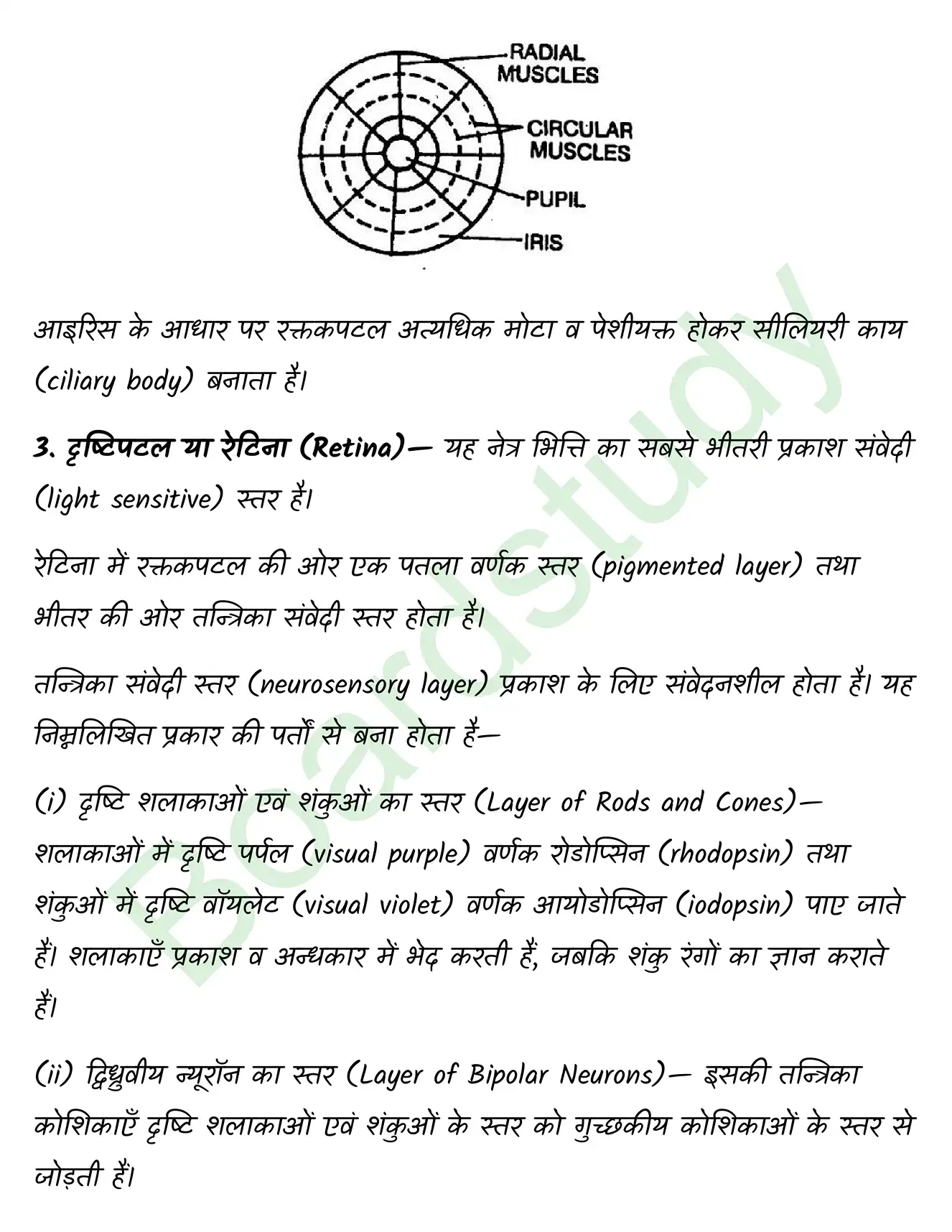Biology Class11 Chapter 21. page 0007
