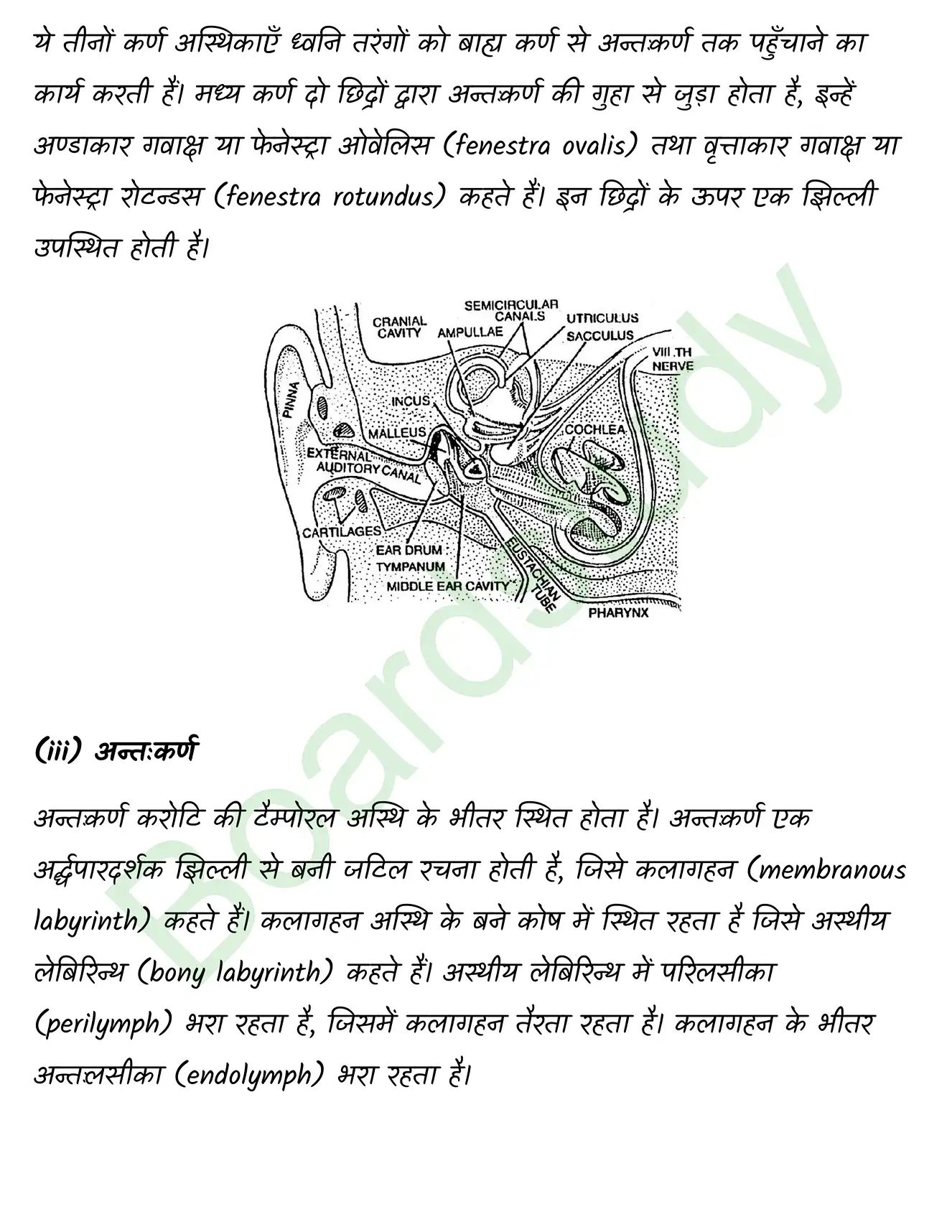 Biology Class11 Chapter 21. page 0011