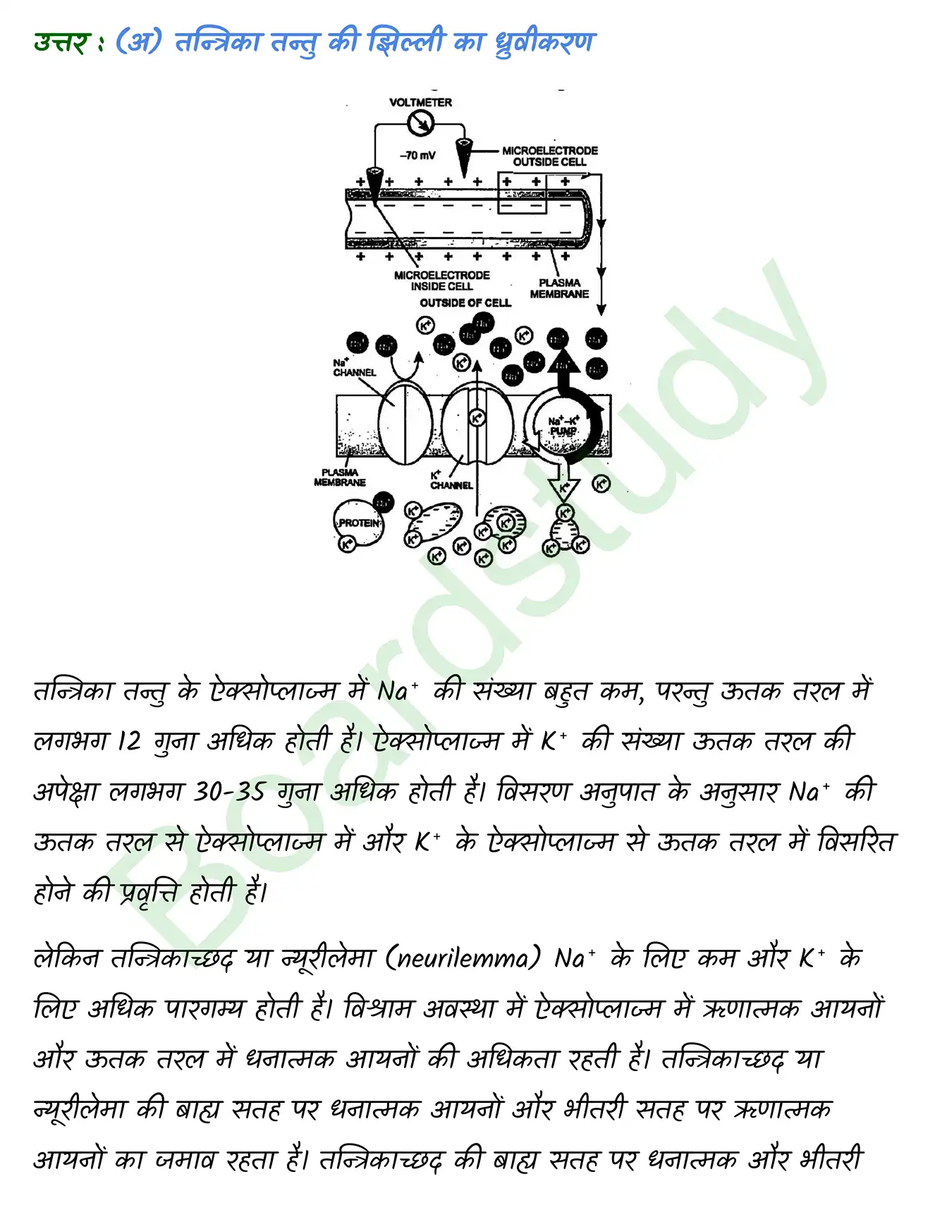Biology Class11 Chapter 21. page 0017