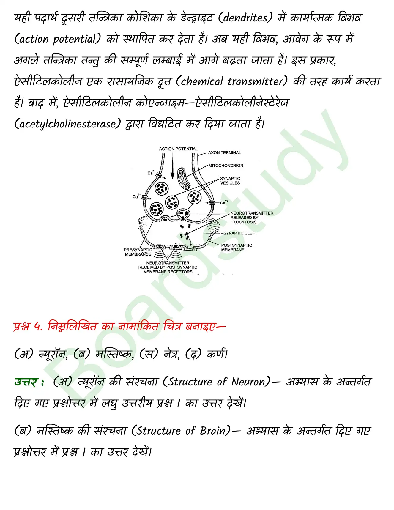 Biology Class11 Chapter 21. page 0020