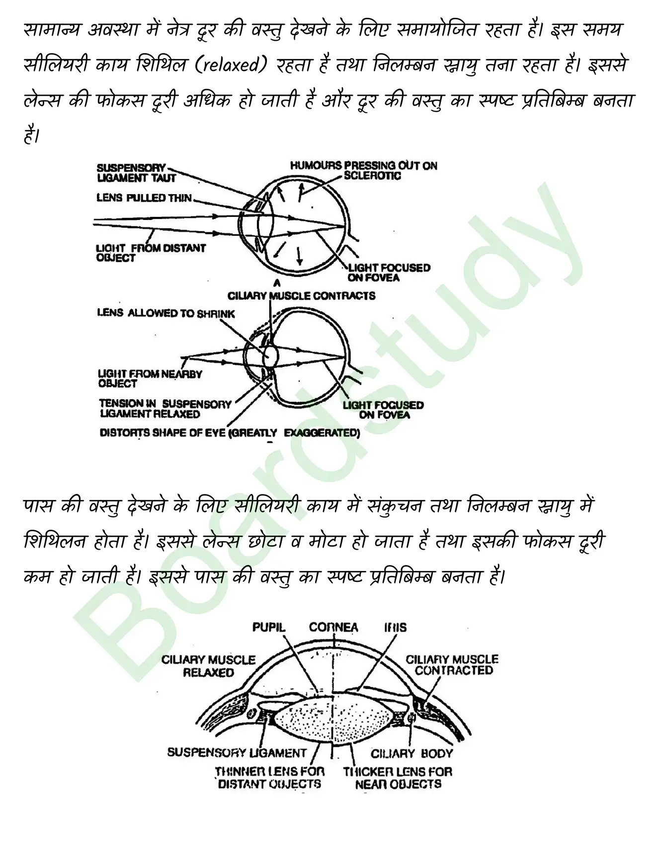 Biology Class11 Chapter 21. page 0027