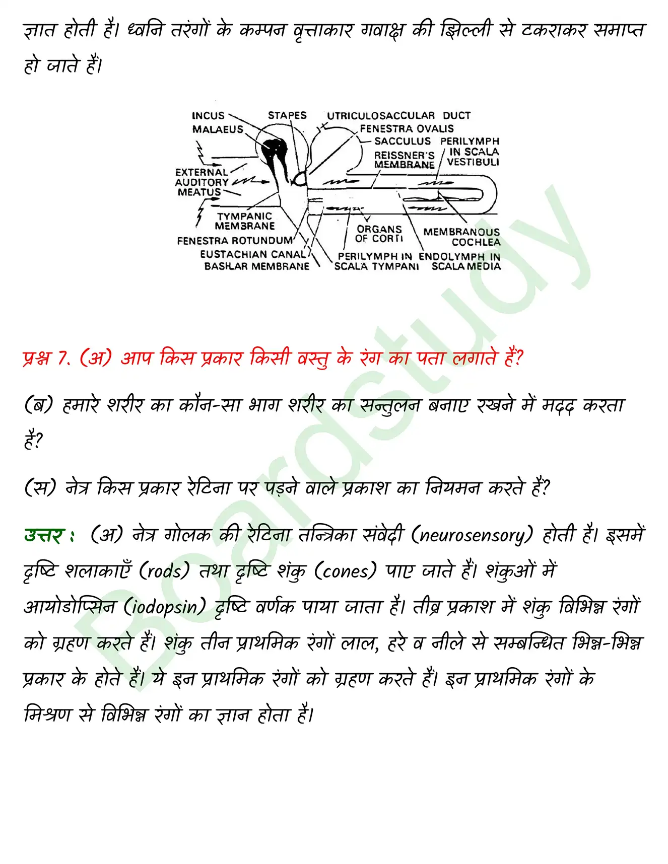 Biology Class11 Chapter 21. page 0030