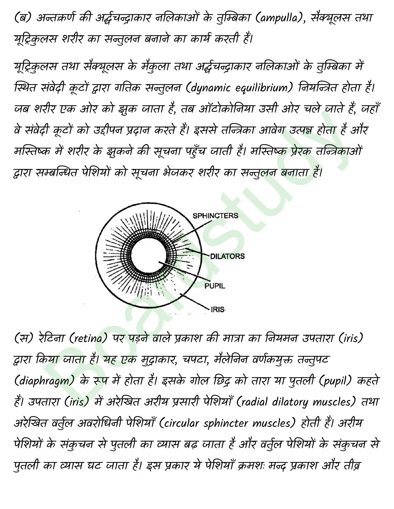 Biology Class11 Chapter 21. page 0031