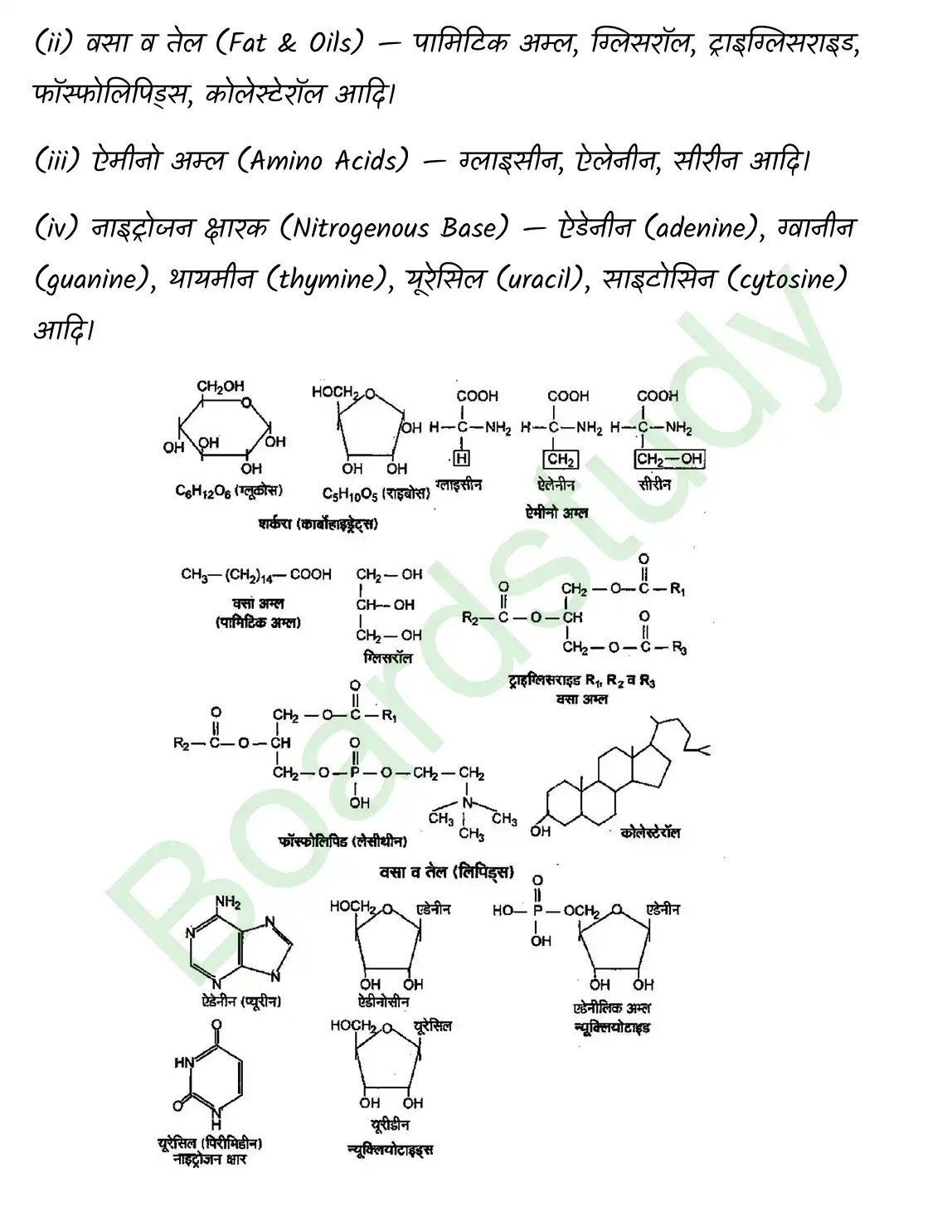Biology Class11 Chapter page 0003