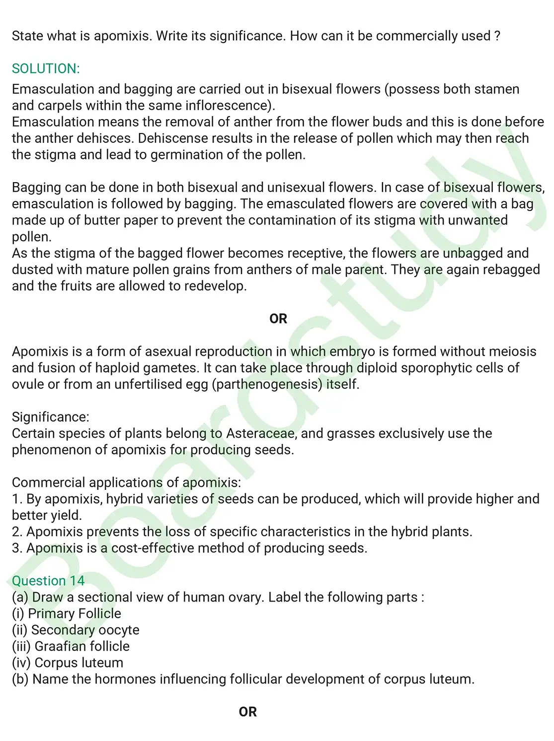 Biology PYQ 2019 Set 2. page 0006