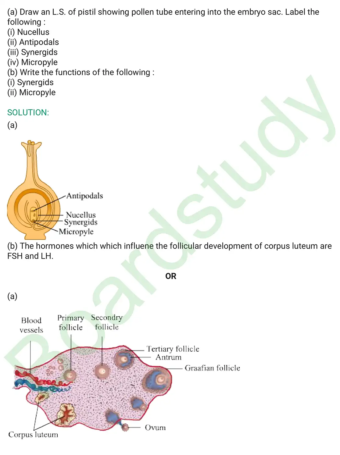 Biology PYQ 2019 Set 2. page 0007