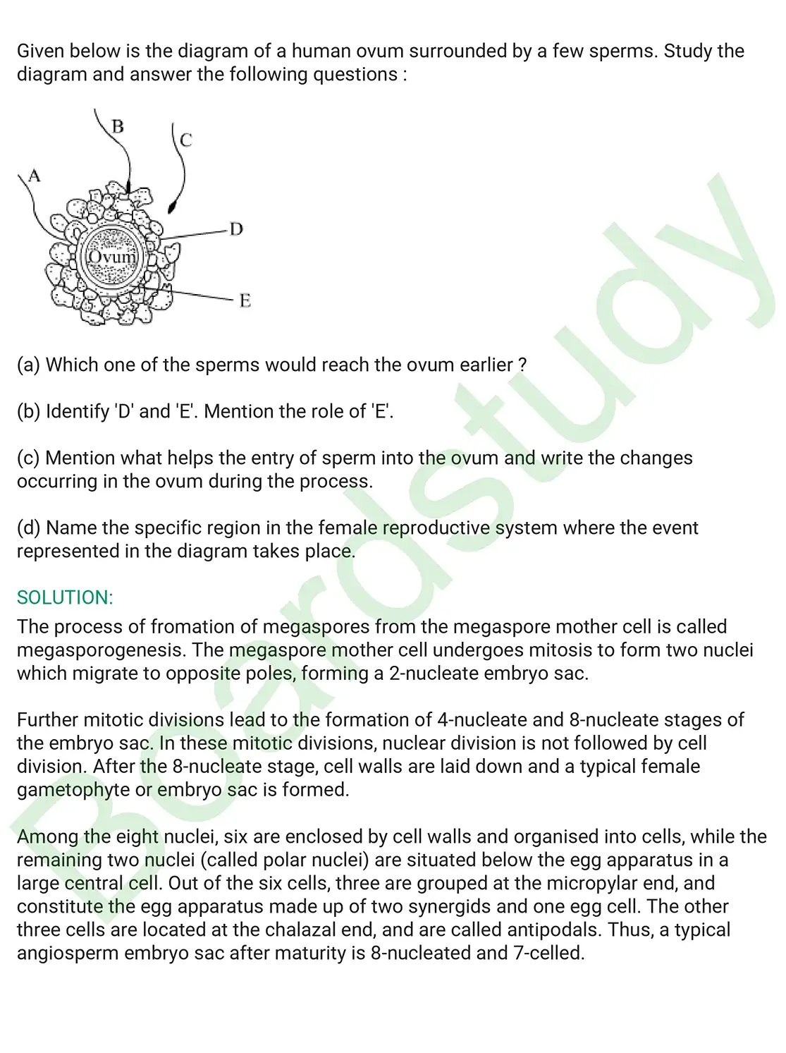 Biology PYQ 2019 Set 2. page 0015
