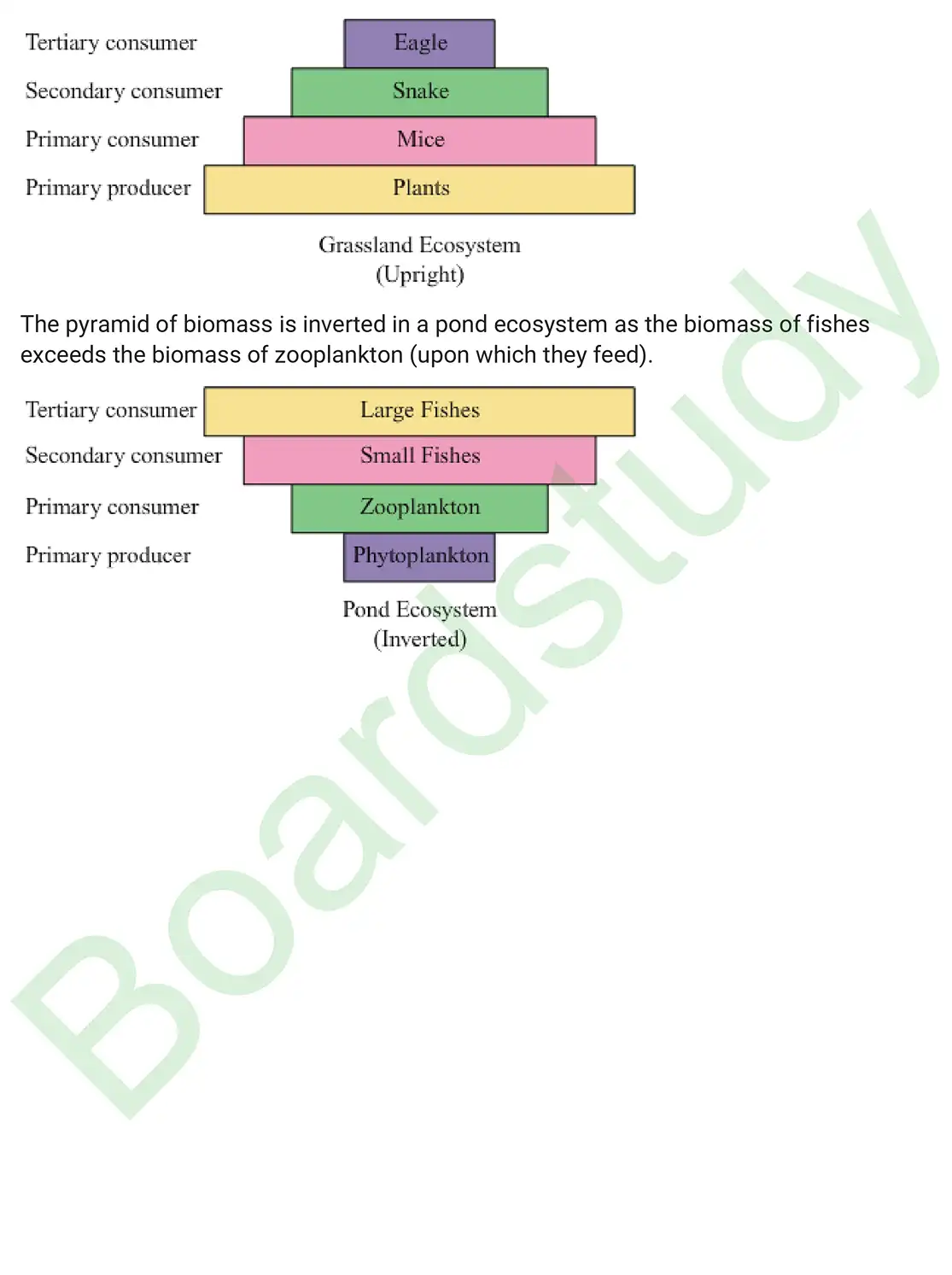 Biology PYQ 2019 Set 2. page 0020