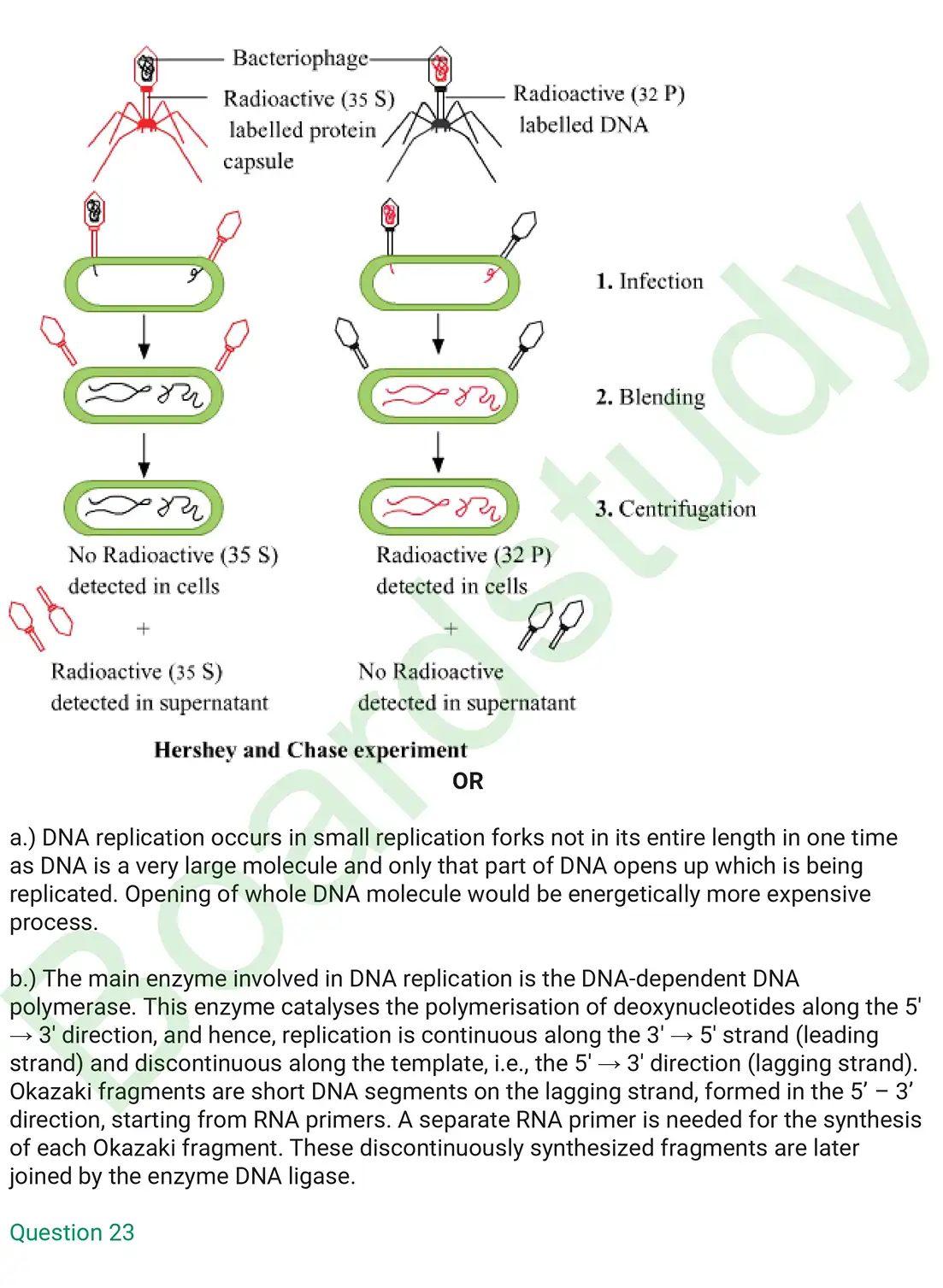 Biology PYQ 2019. . page 0013