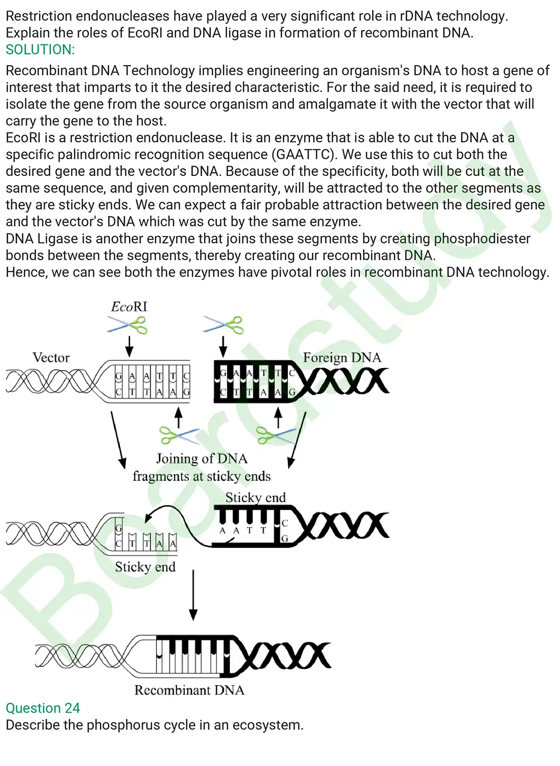 Biology PYQ 2019. . page 0014