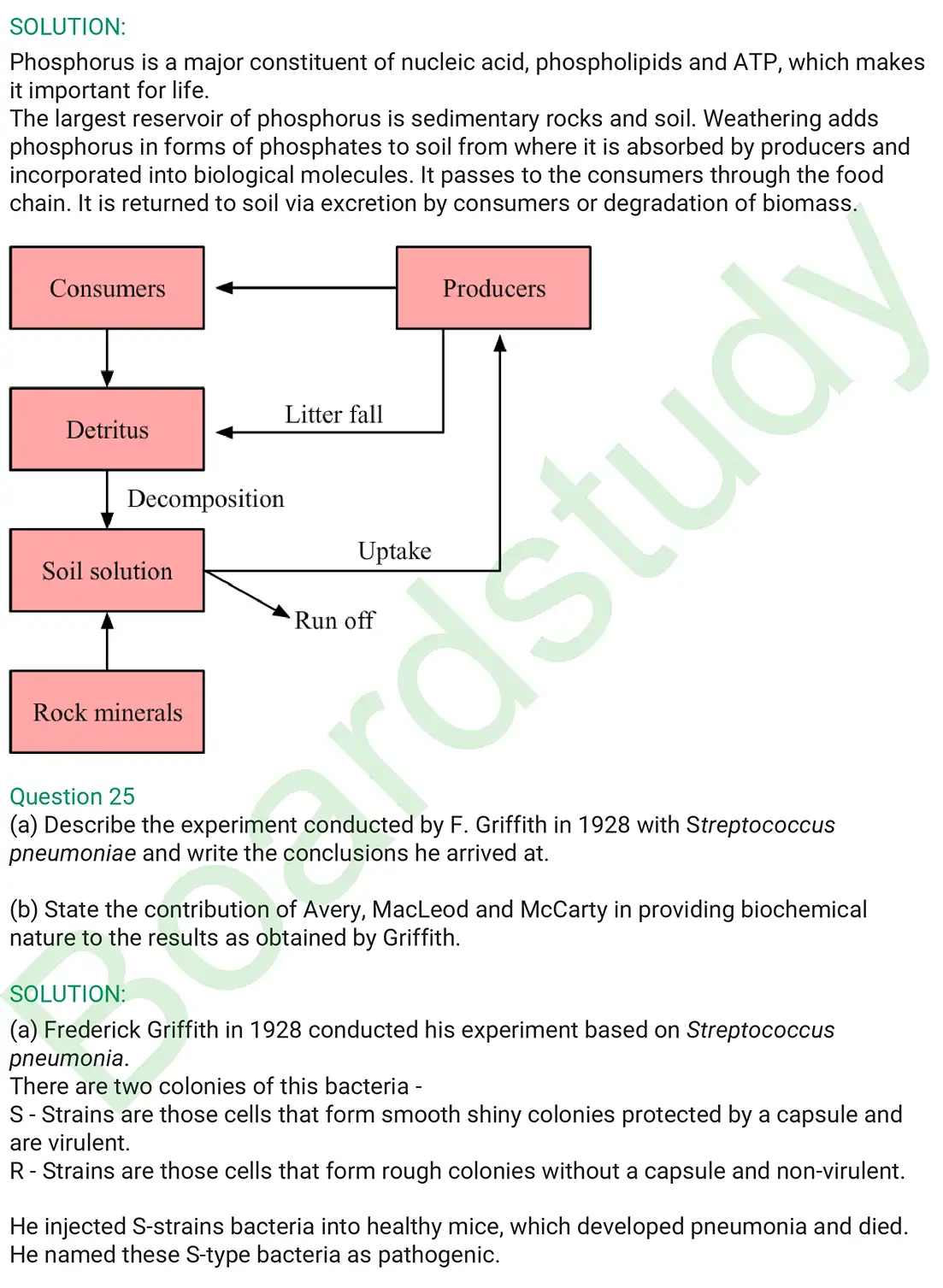 Biology PYQ 2019. . page 0015