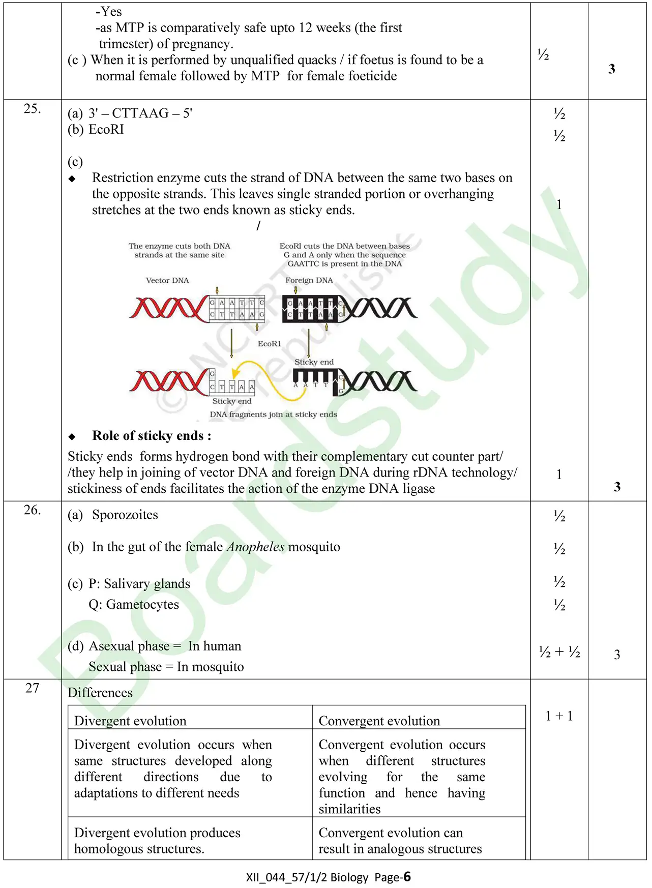 Biology PYQ 2025 set 2. page 0004