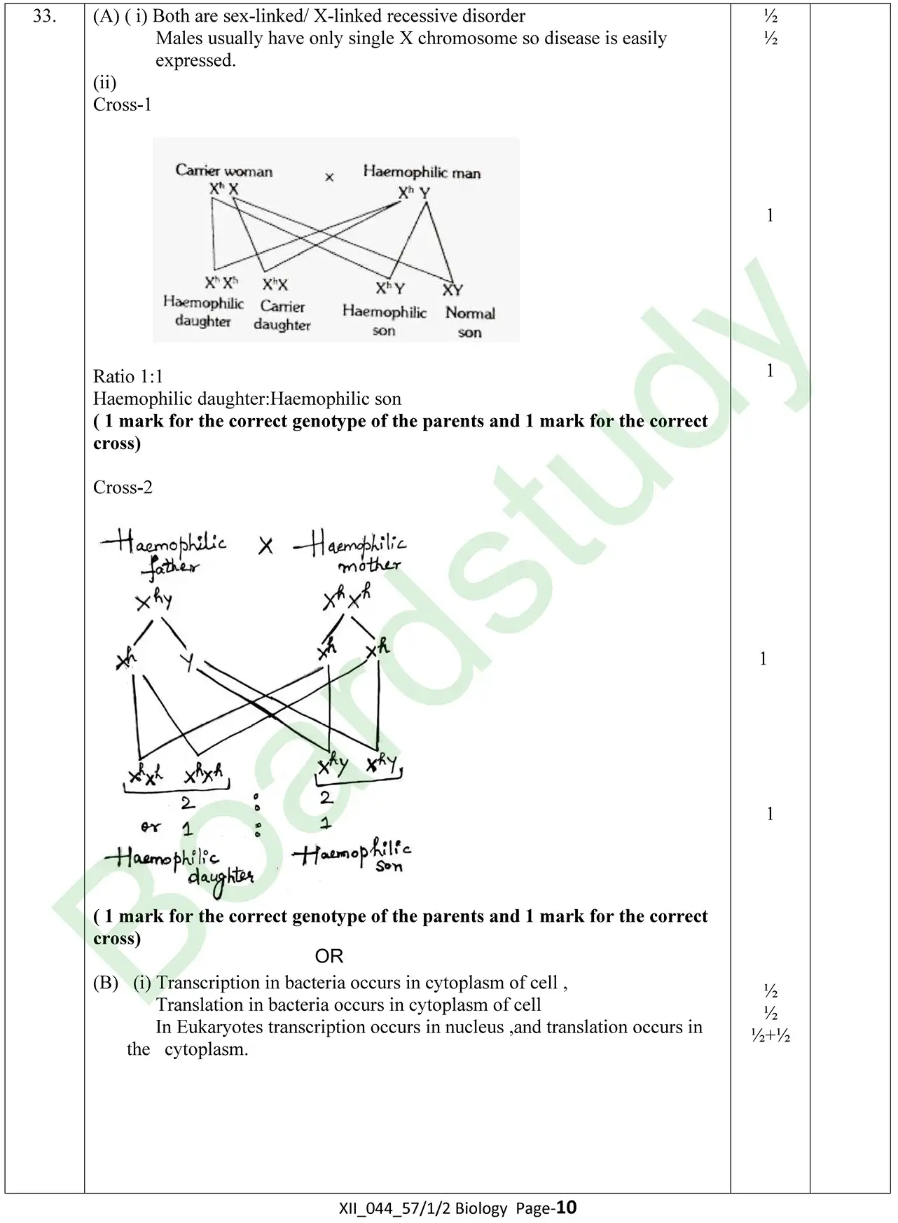 Biology PYQ 2025 set 2. page 0008