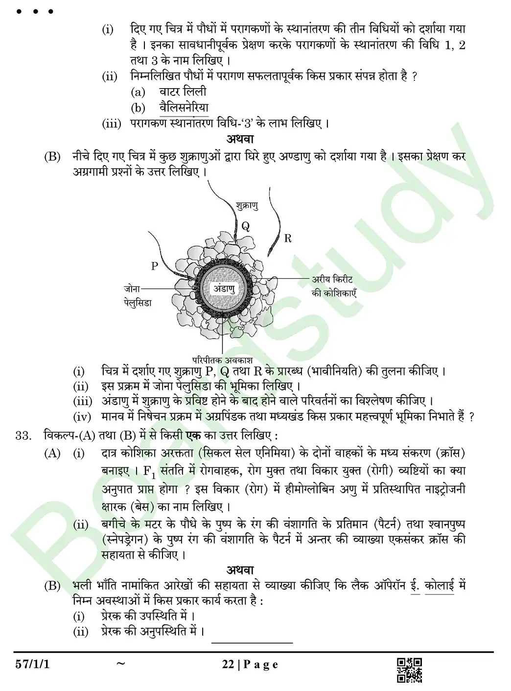 Biology PYQ 2025 set page 0022