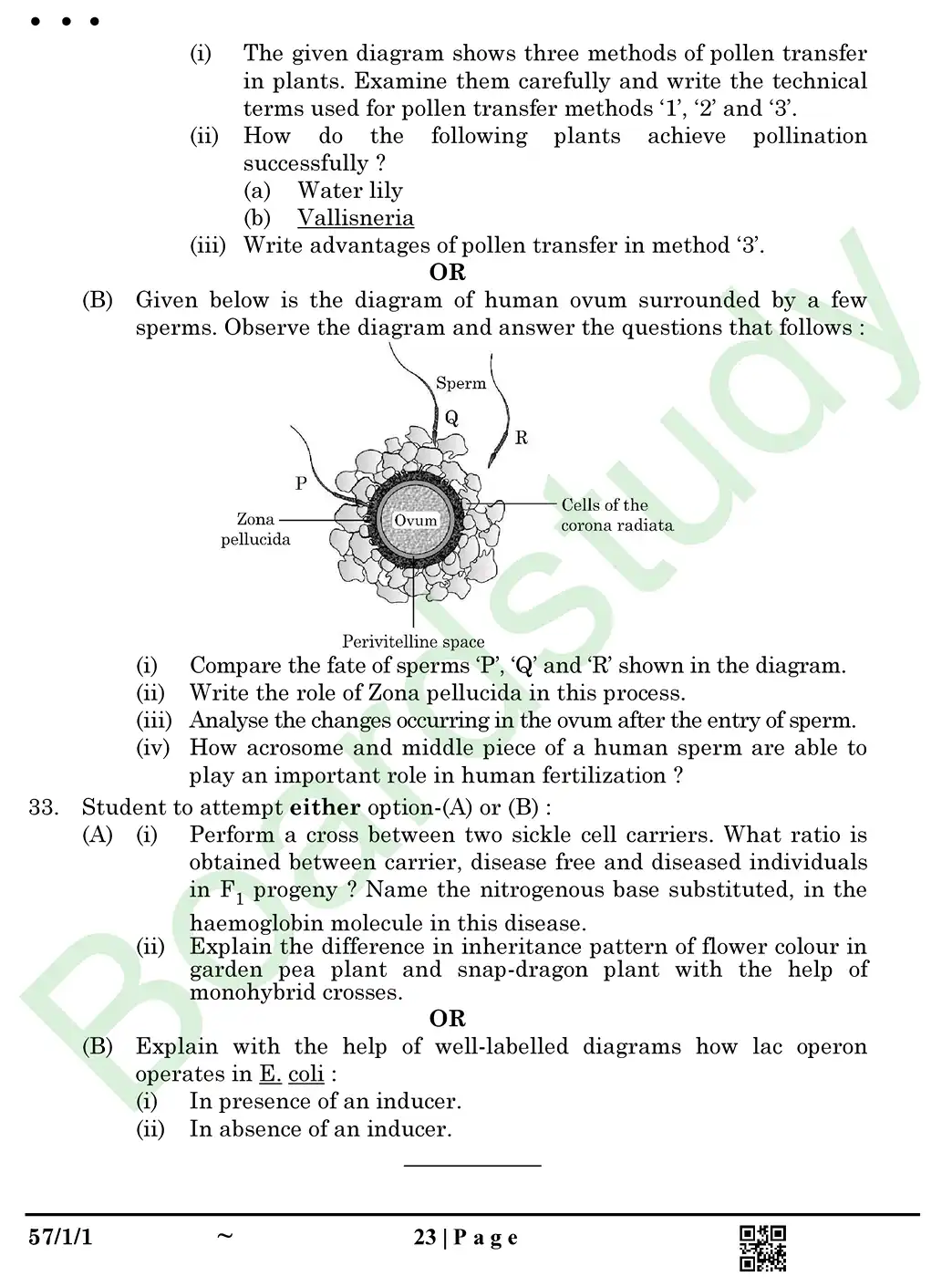 Biology PYQ 2025 set page 0023