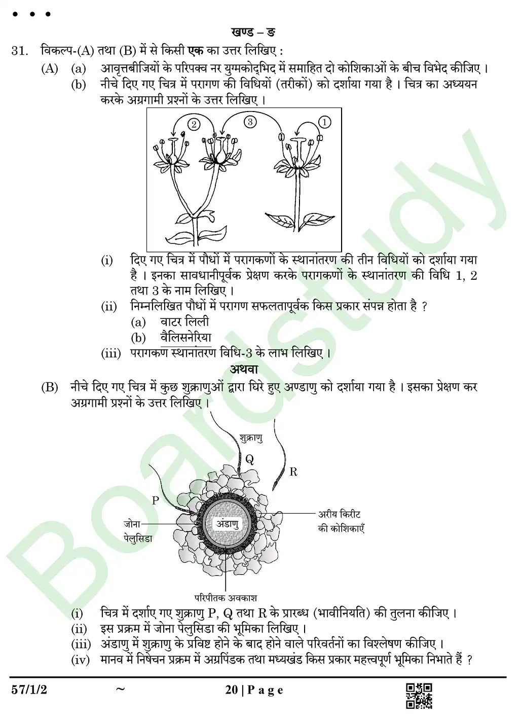 Biology PYQ 2025.n page 0020