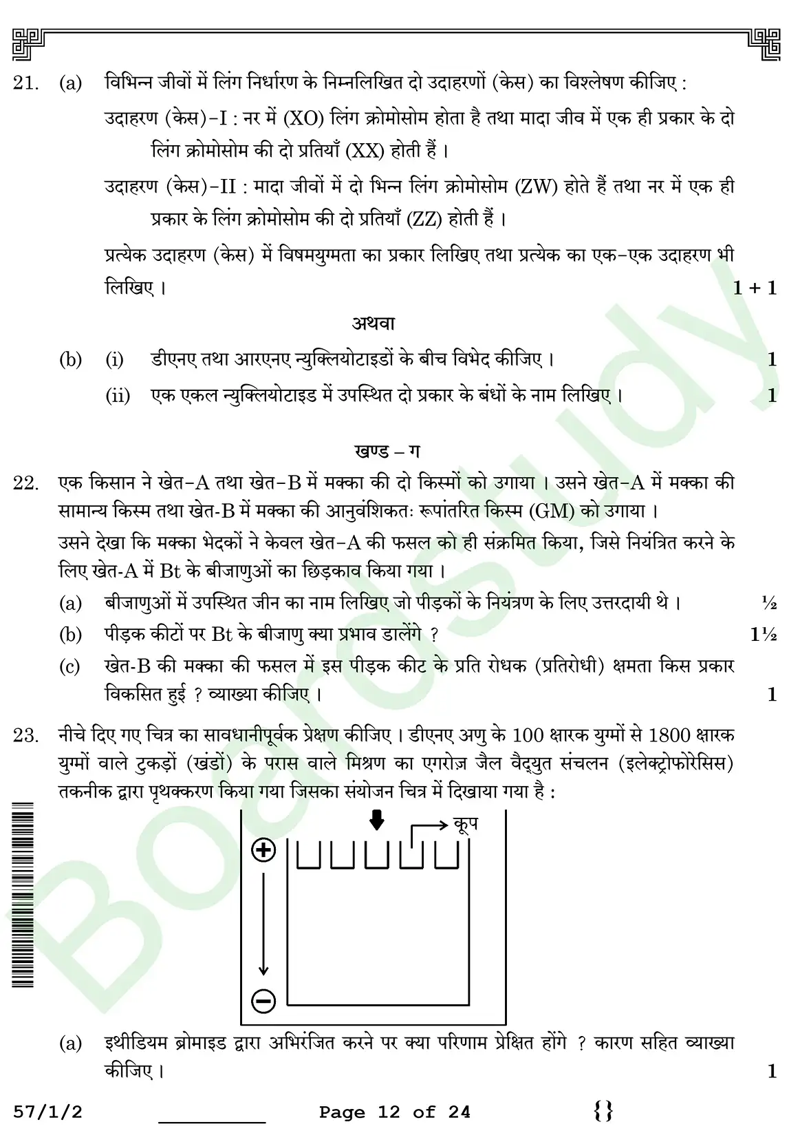 Biology PYQ 2026 2. c page 0012
