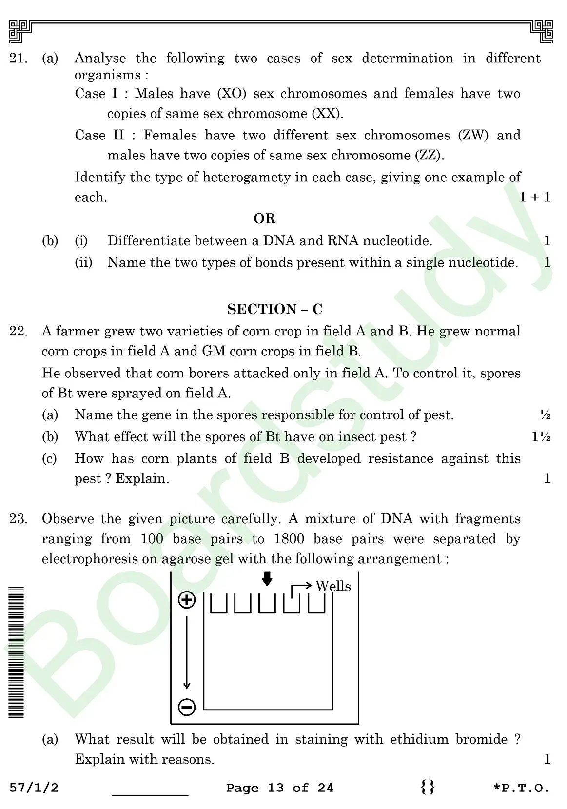 Biology PYQ 2026 2. c page 0013