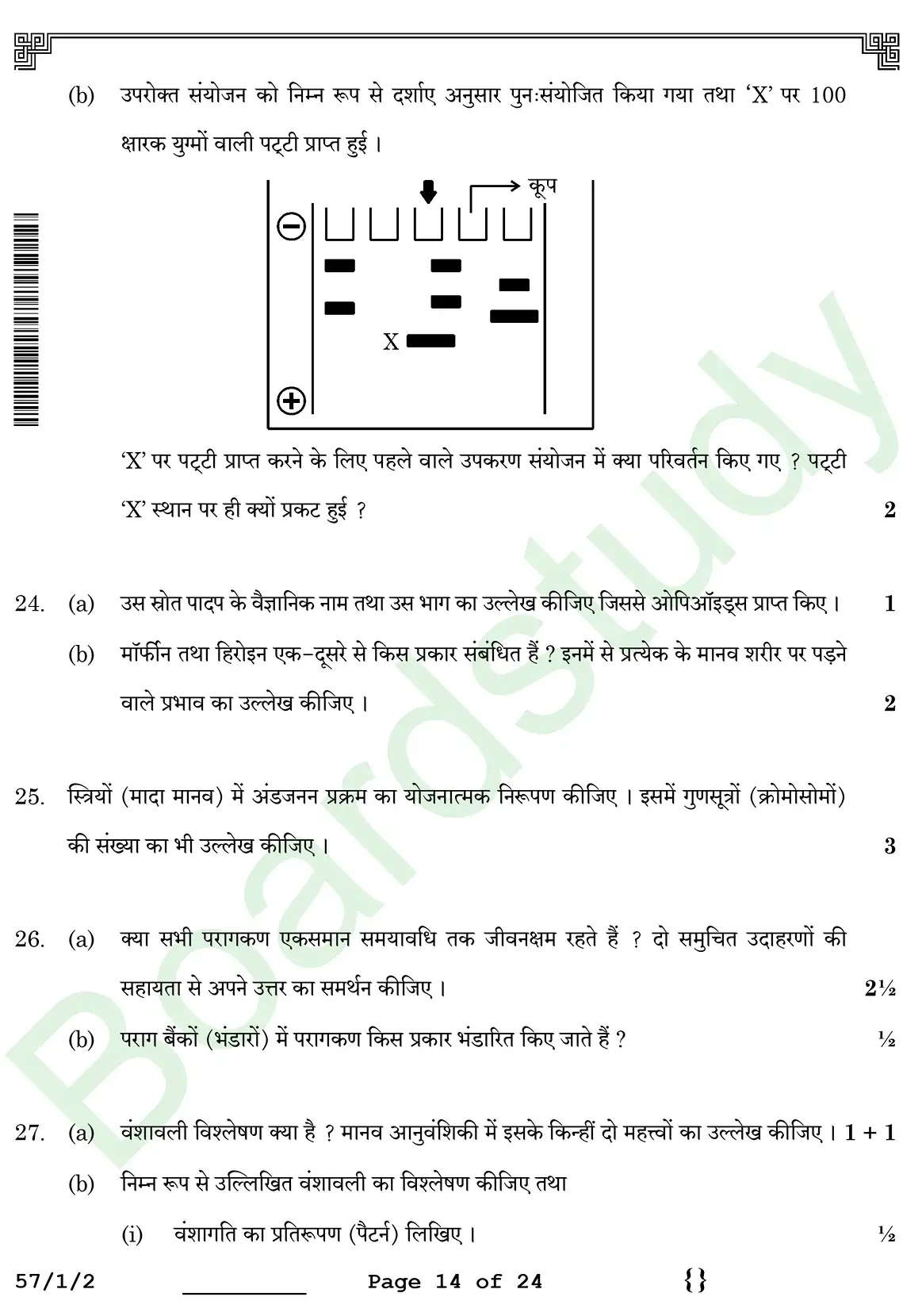 Biology PYQ 2026 2. c page 0014