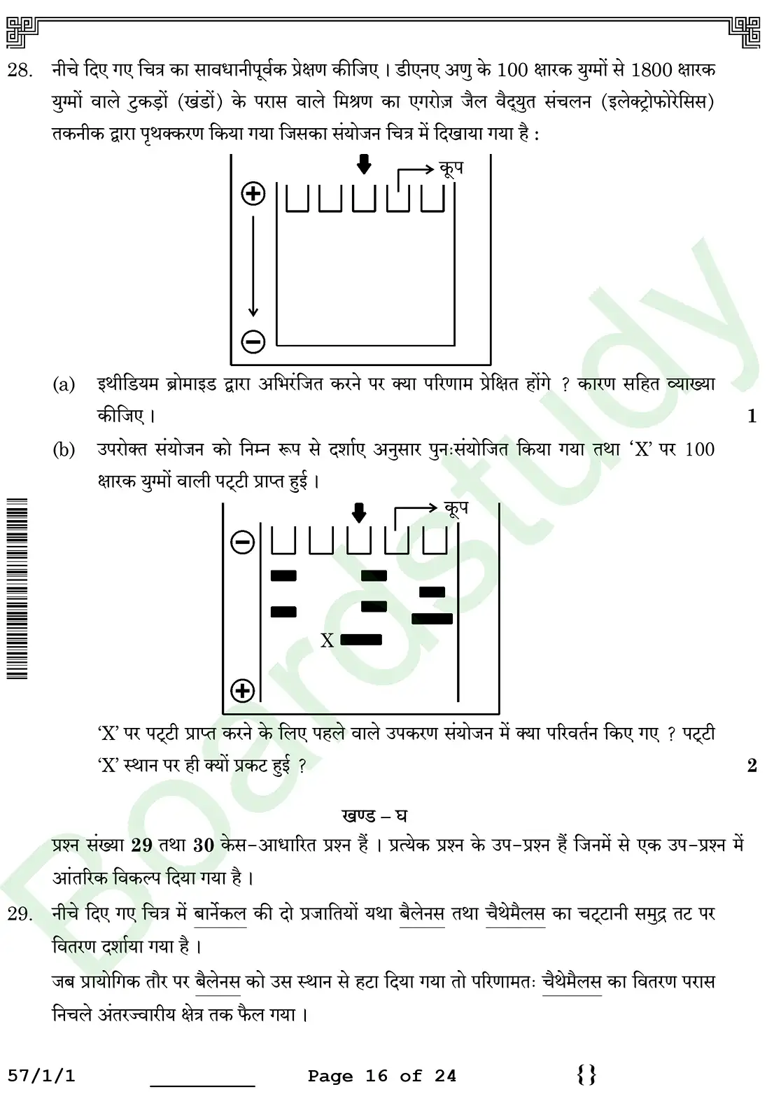 Biology PYQ 2026. page 0016