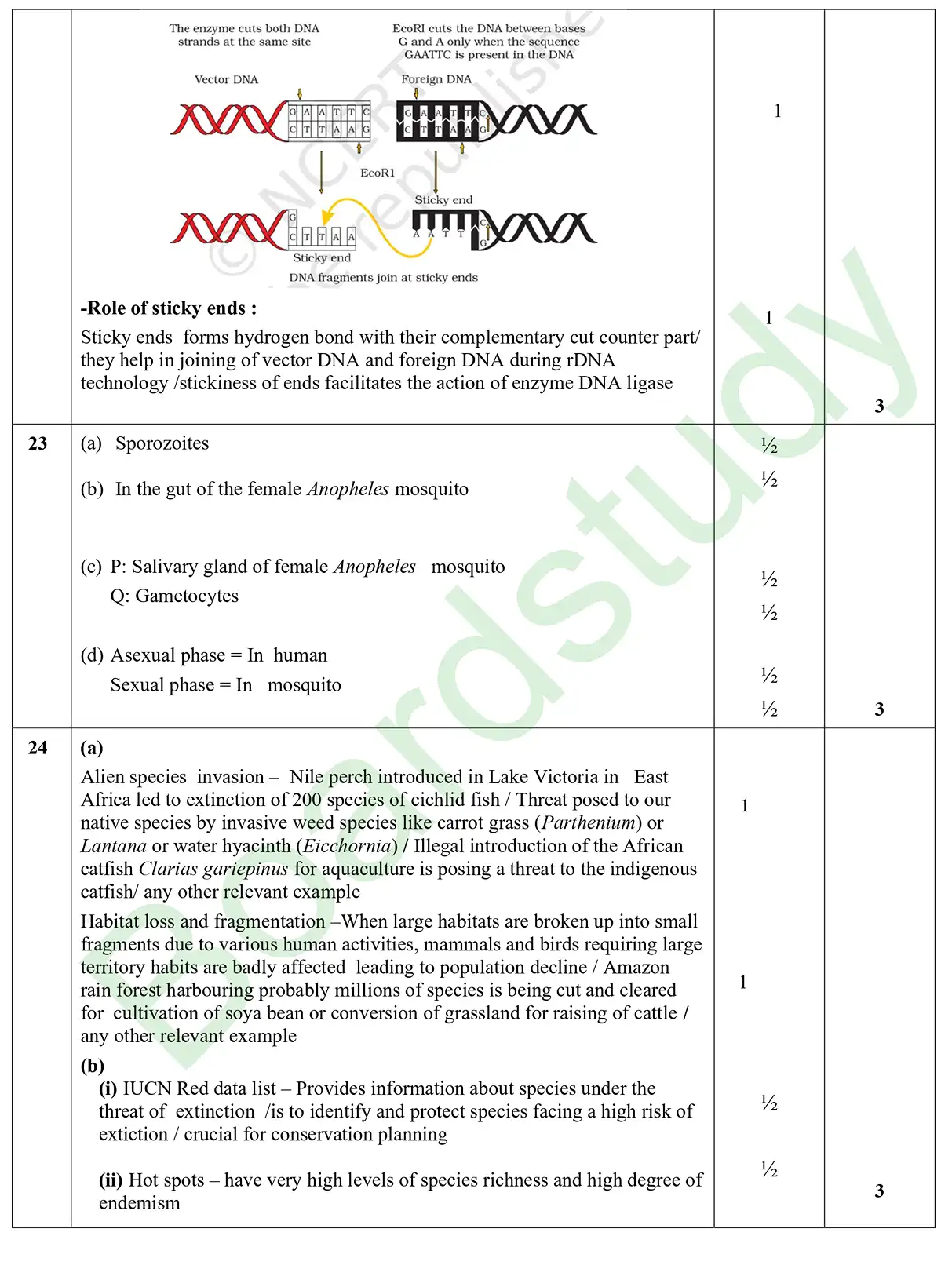 ilovepdf merged page 0004
