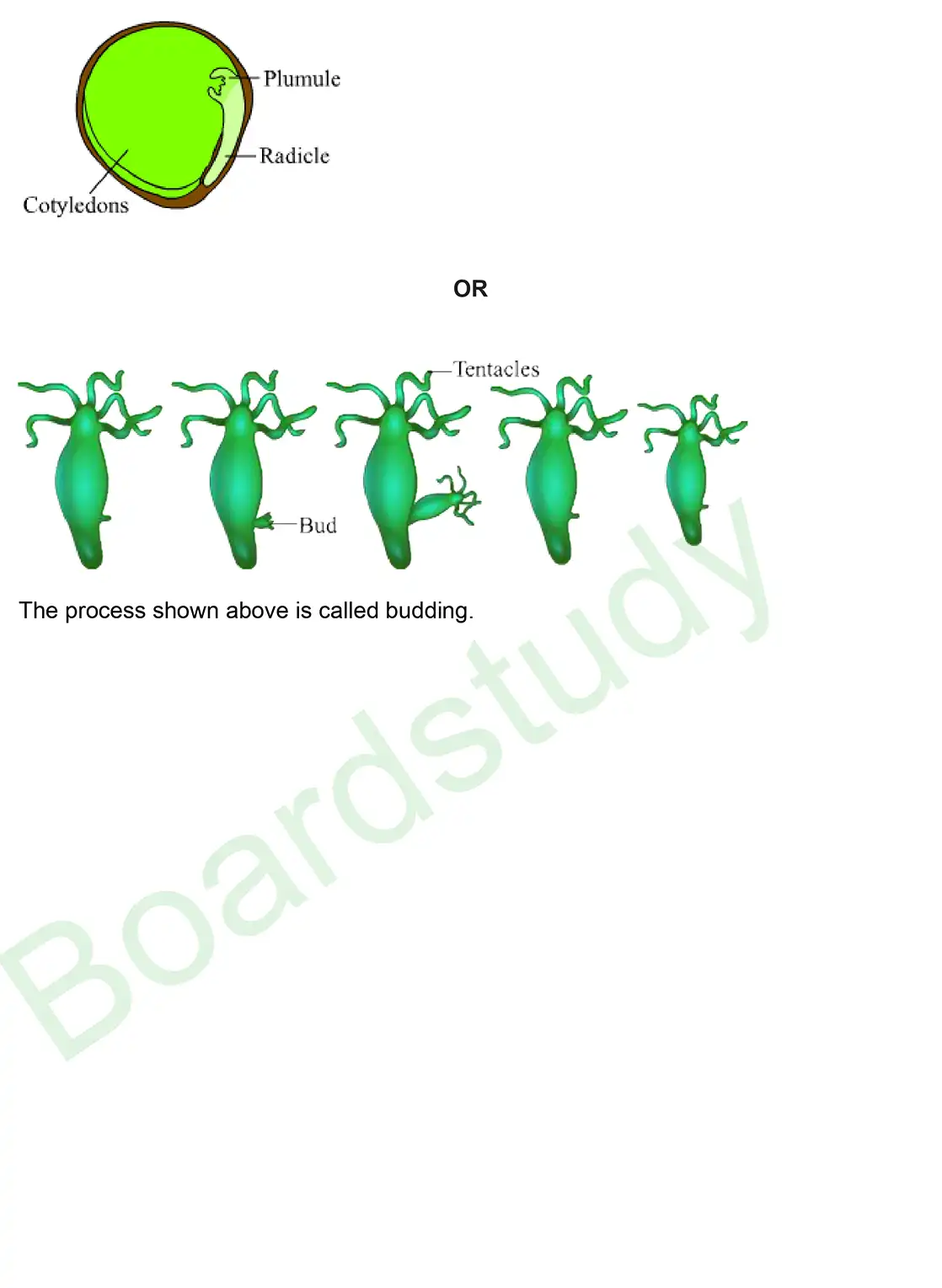 CBSE Class 10 Science PYQ 2019 set 1 questions with solution page 0022